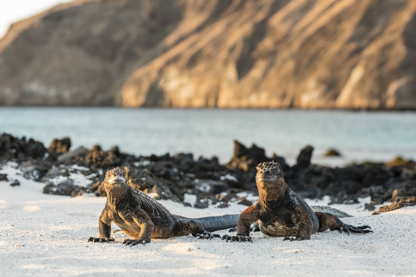 San Cristobal Island, Galapagos