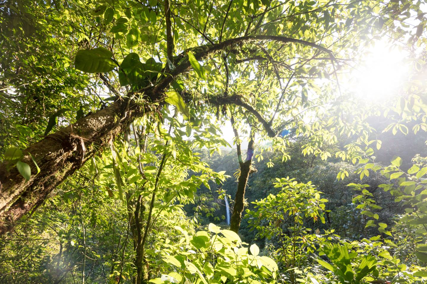 Arenal Volcano National Park, Costa Rica