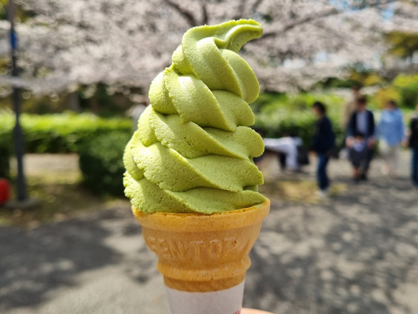 Travel as a Vegan in Japan