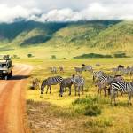 Tanzania Tour