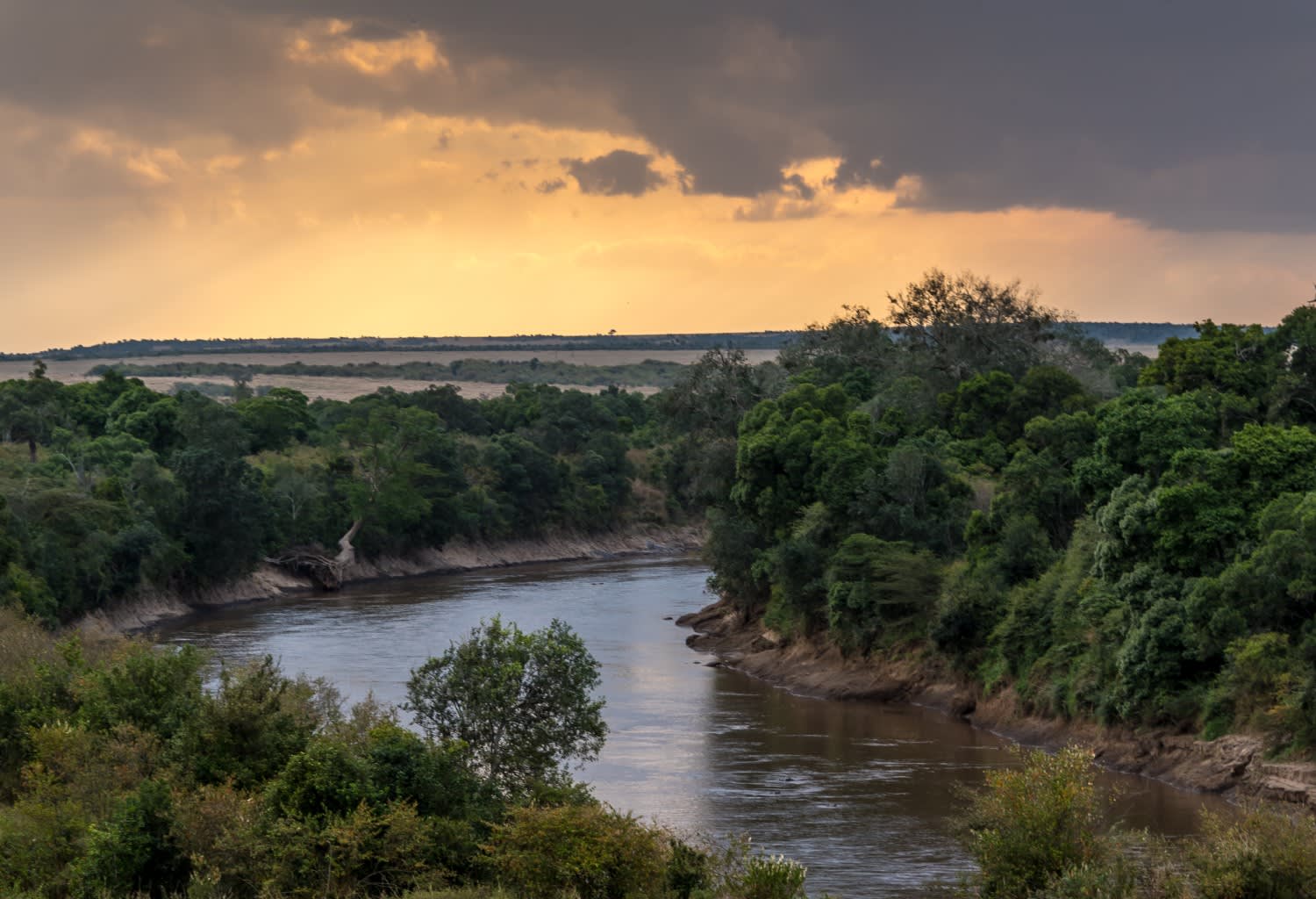 Große Tierwanderung: Die Top 4 Great Migration Safari Camps