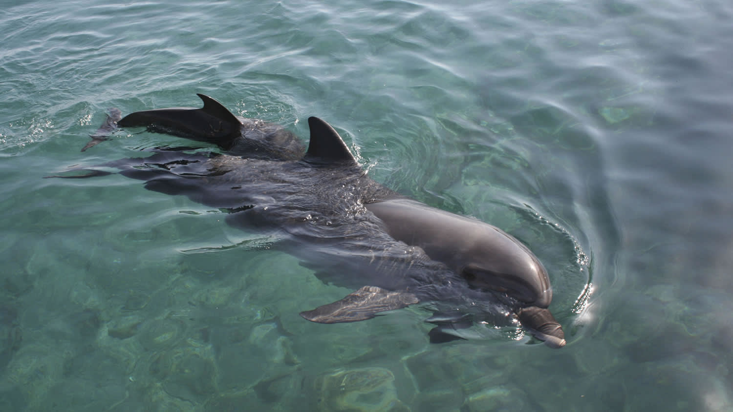 Top 5 Honeymoon Destinations for 2022