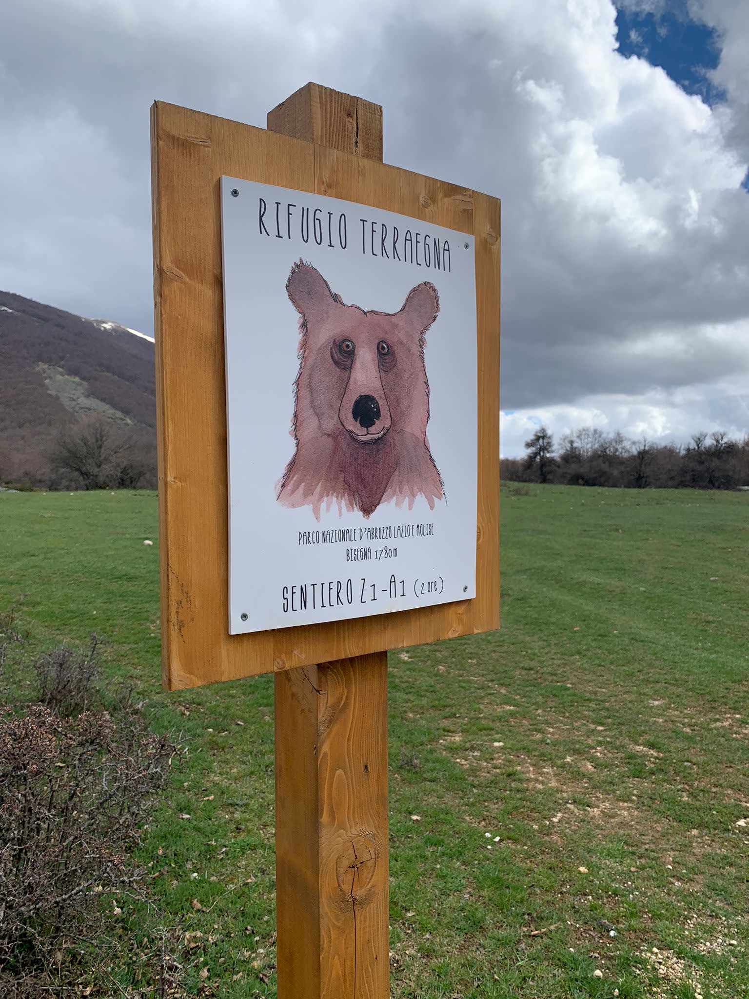 Bear walks in the Apennines