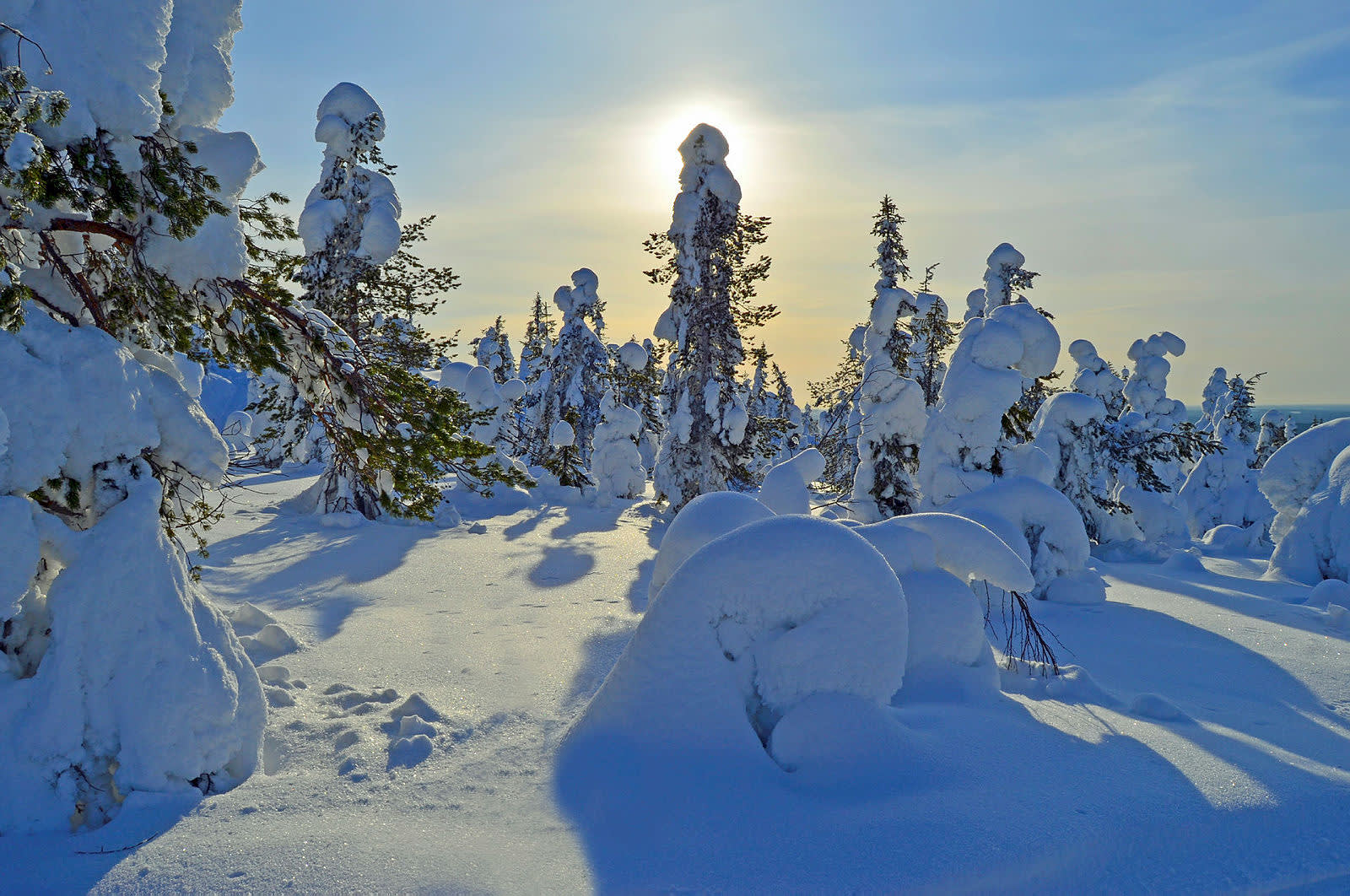 The Finnish Wilderness