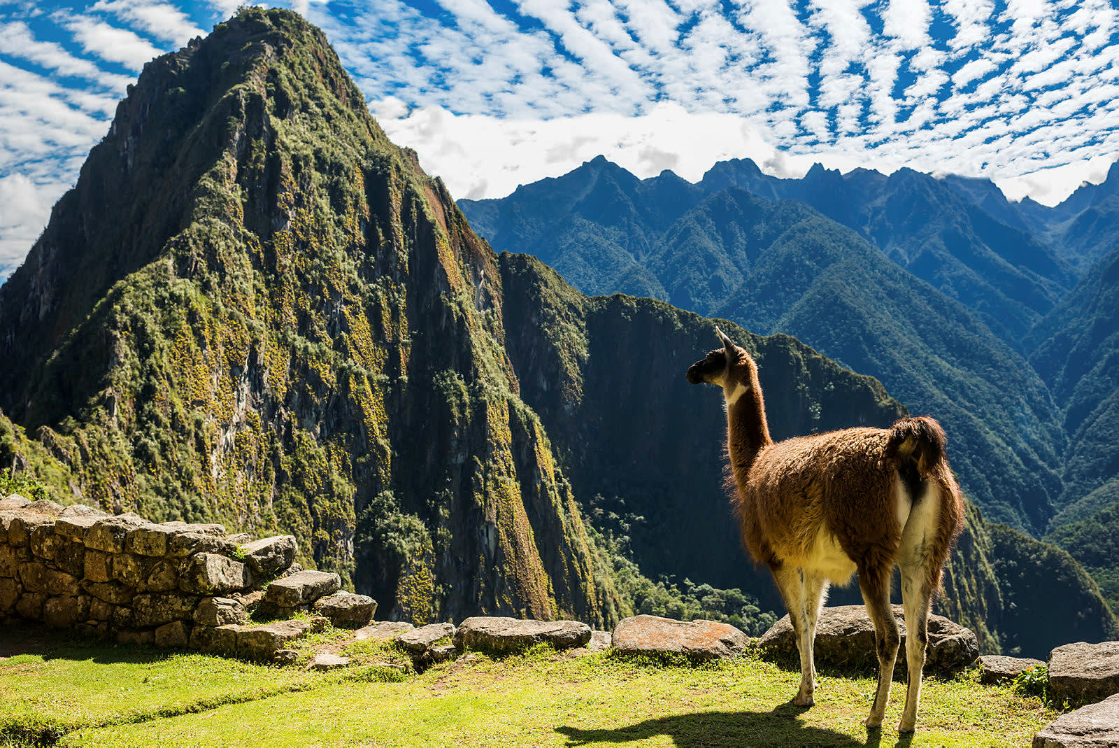 The Inca Trail