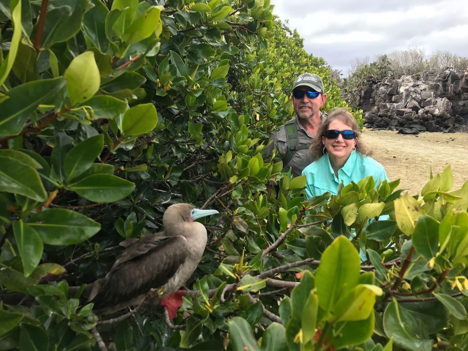 galapagos