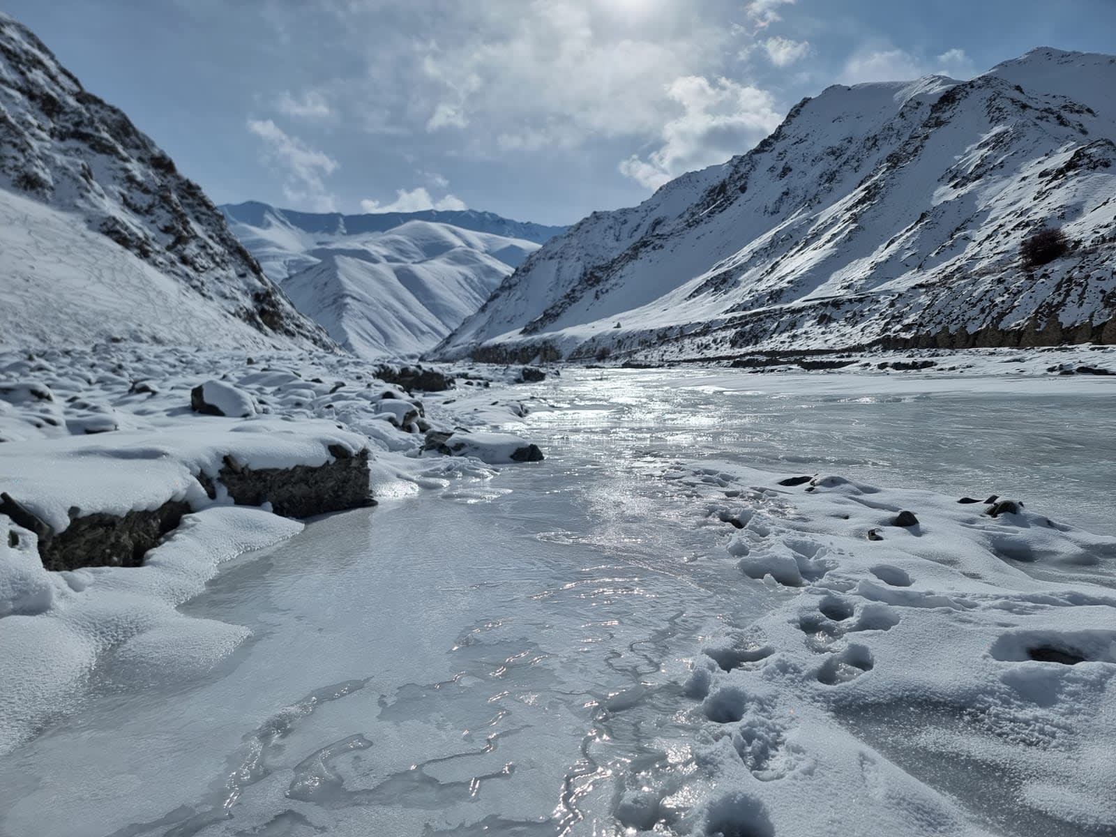 Join Valerie Parkinson on her search for snow leopards in the Himalaya 