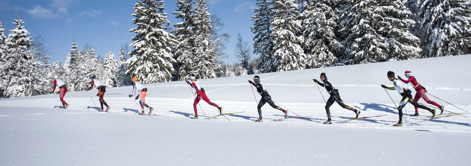 ski racers