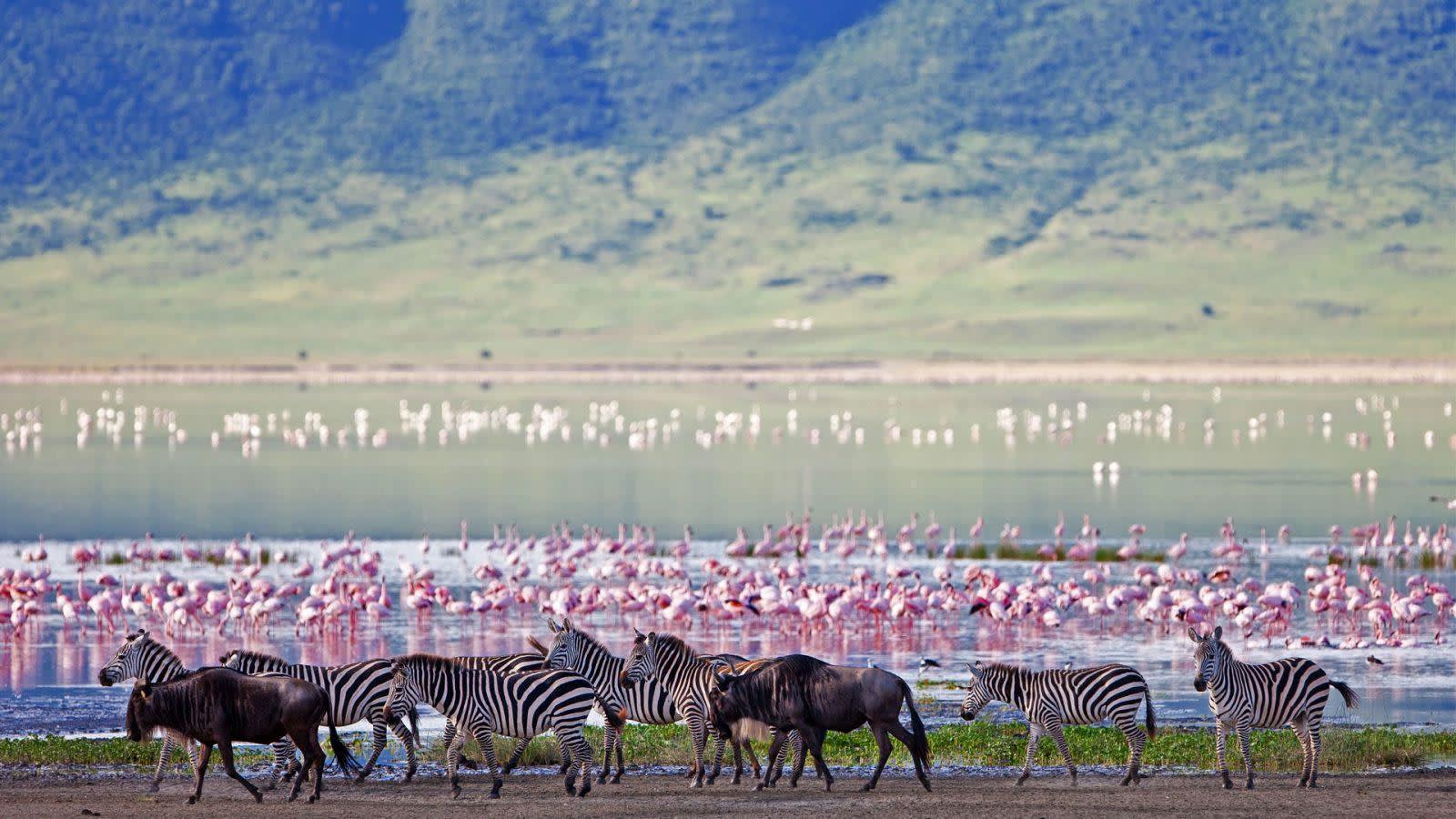 Ngorongoro Crater Floor