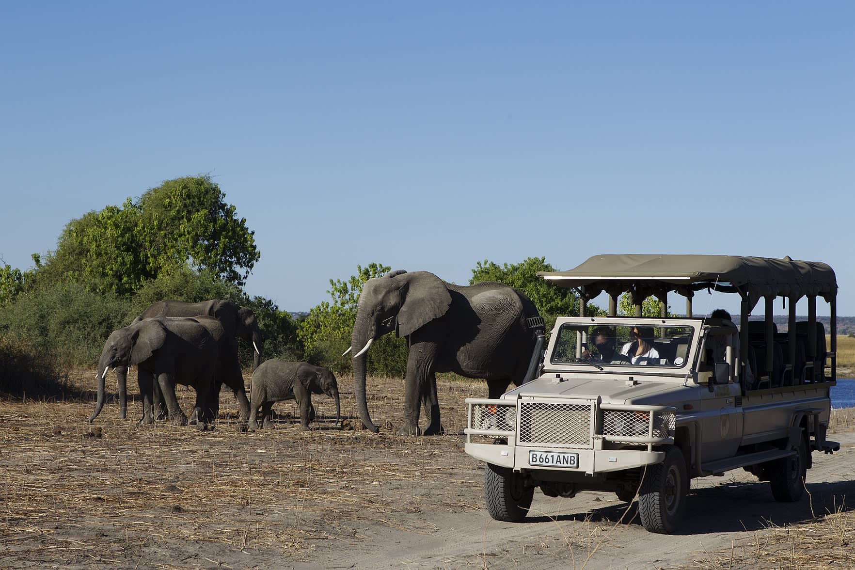Familiensafari in Botswana – Ein gemeinsames Abenteuer