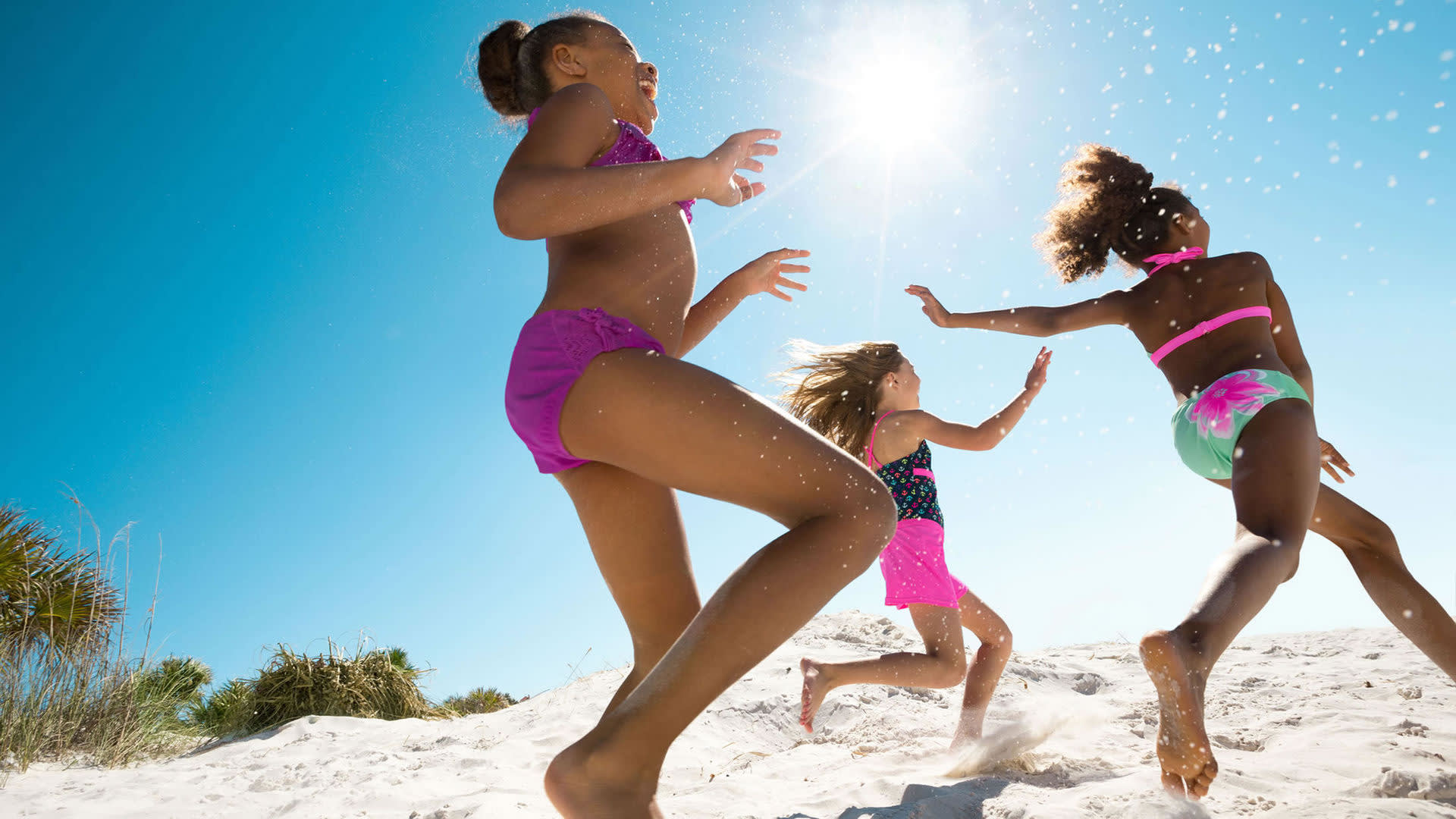 Top Bird-Watching Destinations in Latin America