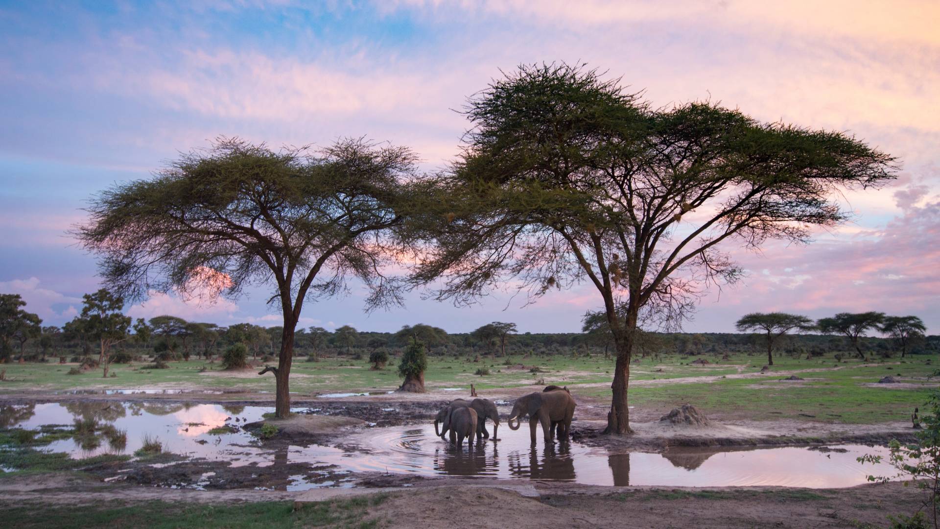 Beste Reisezeit Simbabwe