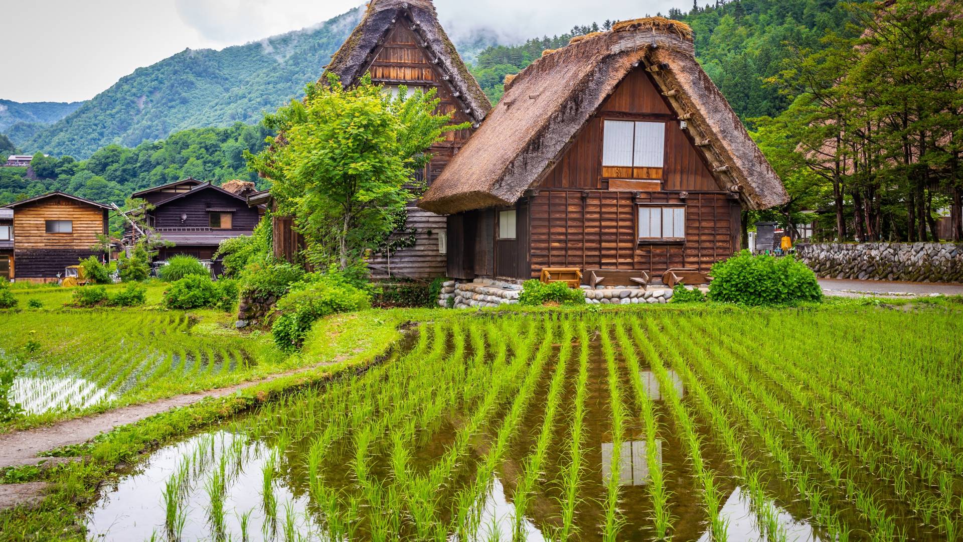 Die verborgenen Schätze Japans