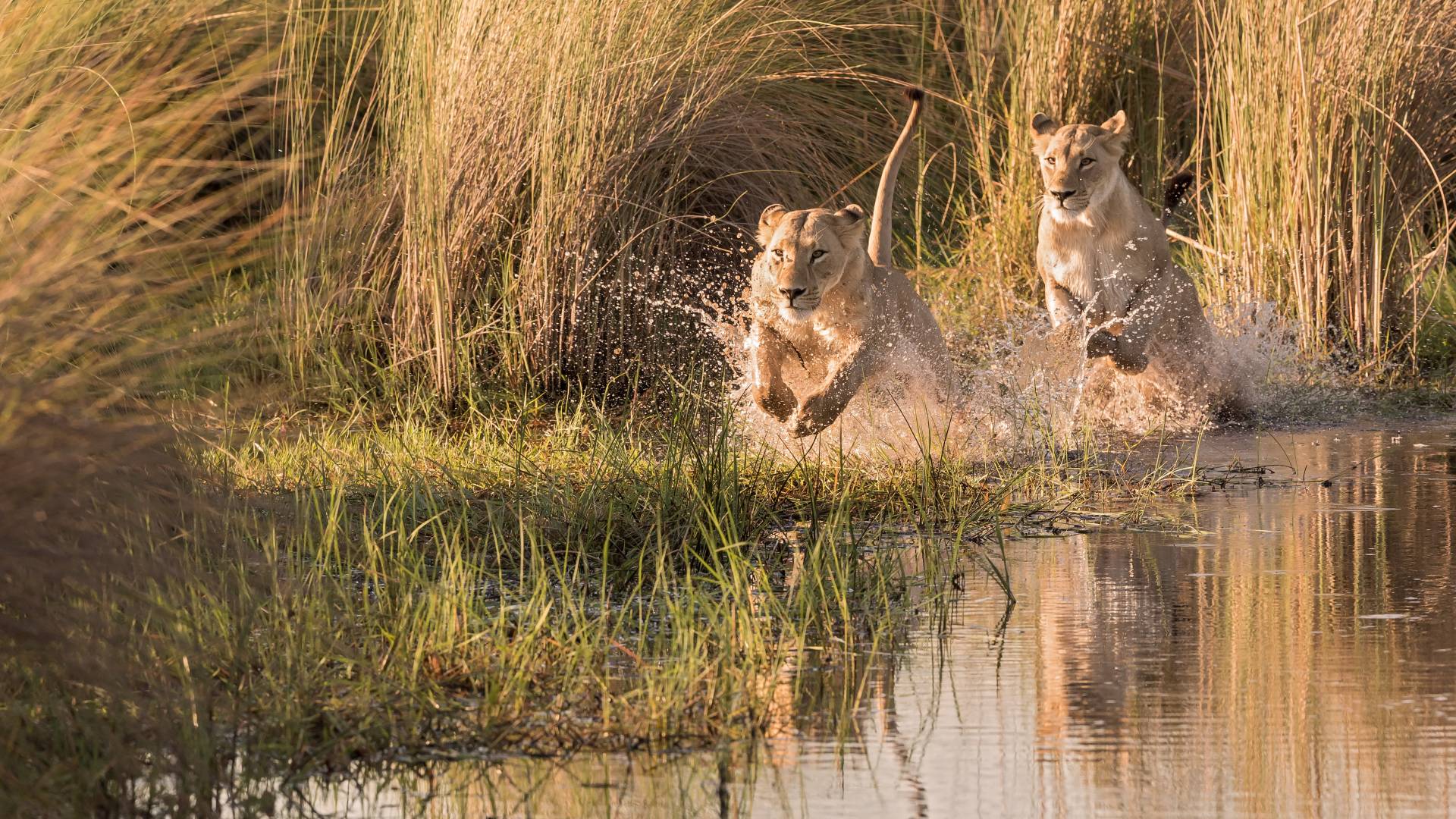 Tanzania, Botswana & Zambia: From Kilimanjaro to the Falls