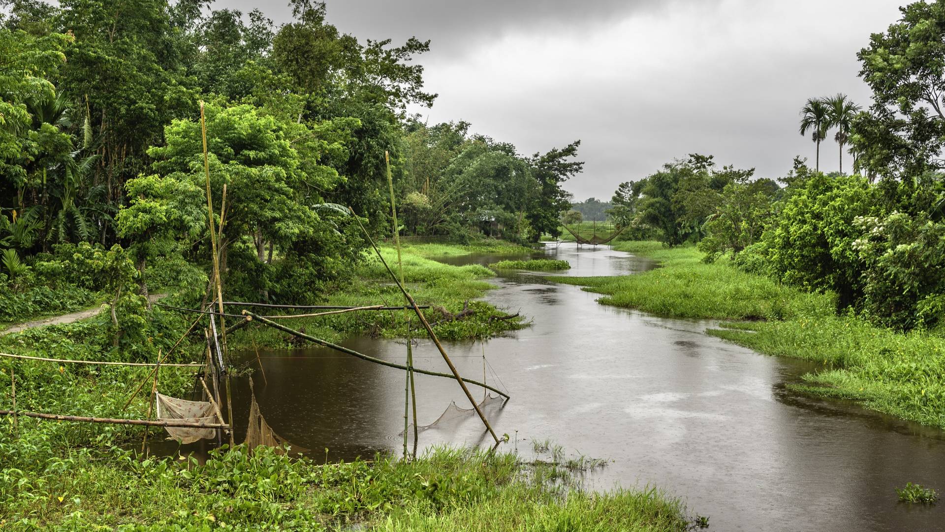 Nebenfluss des Brahmaputra gesäumt von üppiger Vegetation und Fischernetzen unweit von Jorhat in Assam, Indien