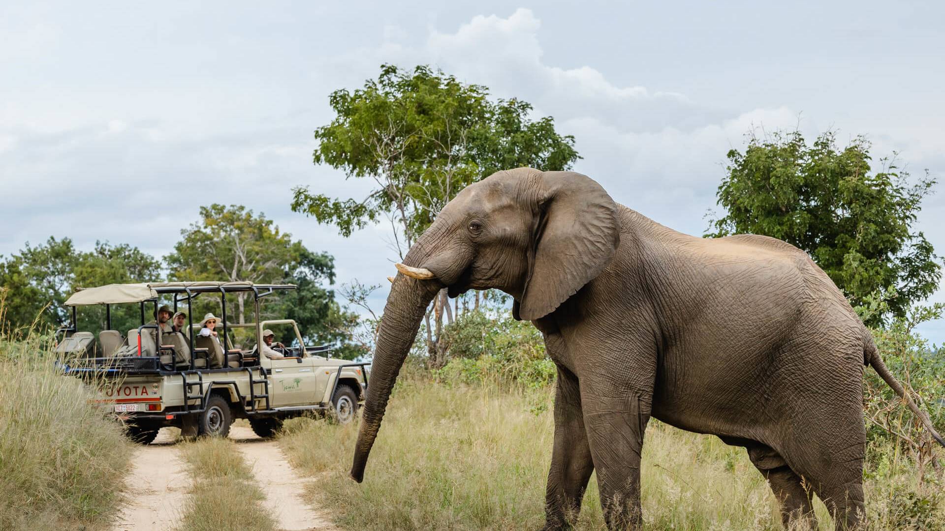 Simbabwes Westen und Botswana: Safaris und einzigartige Wasserwelten