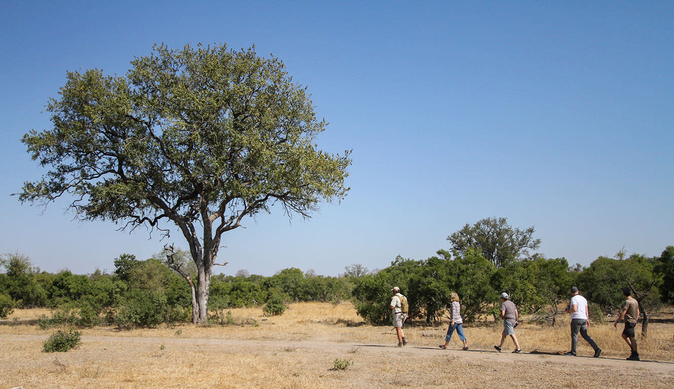 Kapstadt, Safari und Viktoriafälle