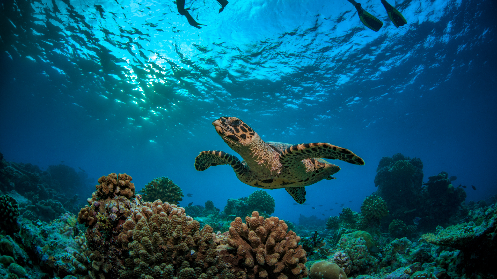 Seychelles: Mahe and Private Island Relaxation
