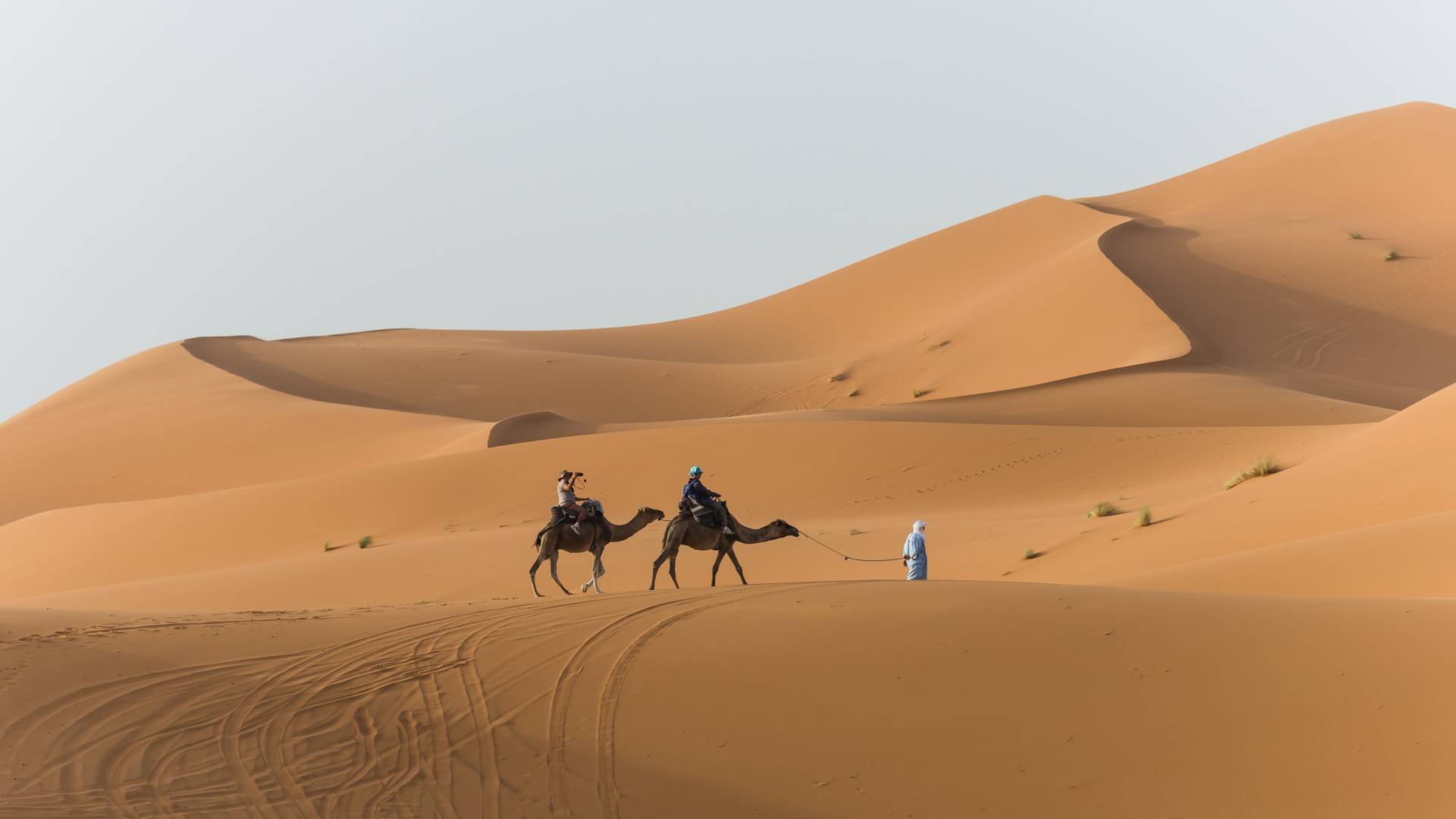 Things to do in Morocco - camel trekking