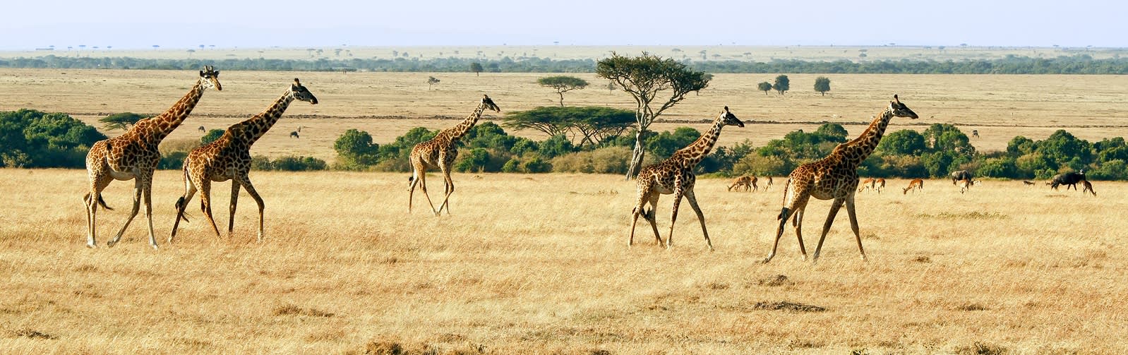 Best time to visit Africa