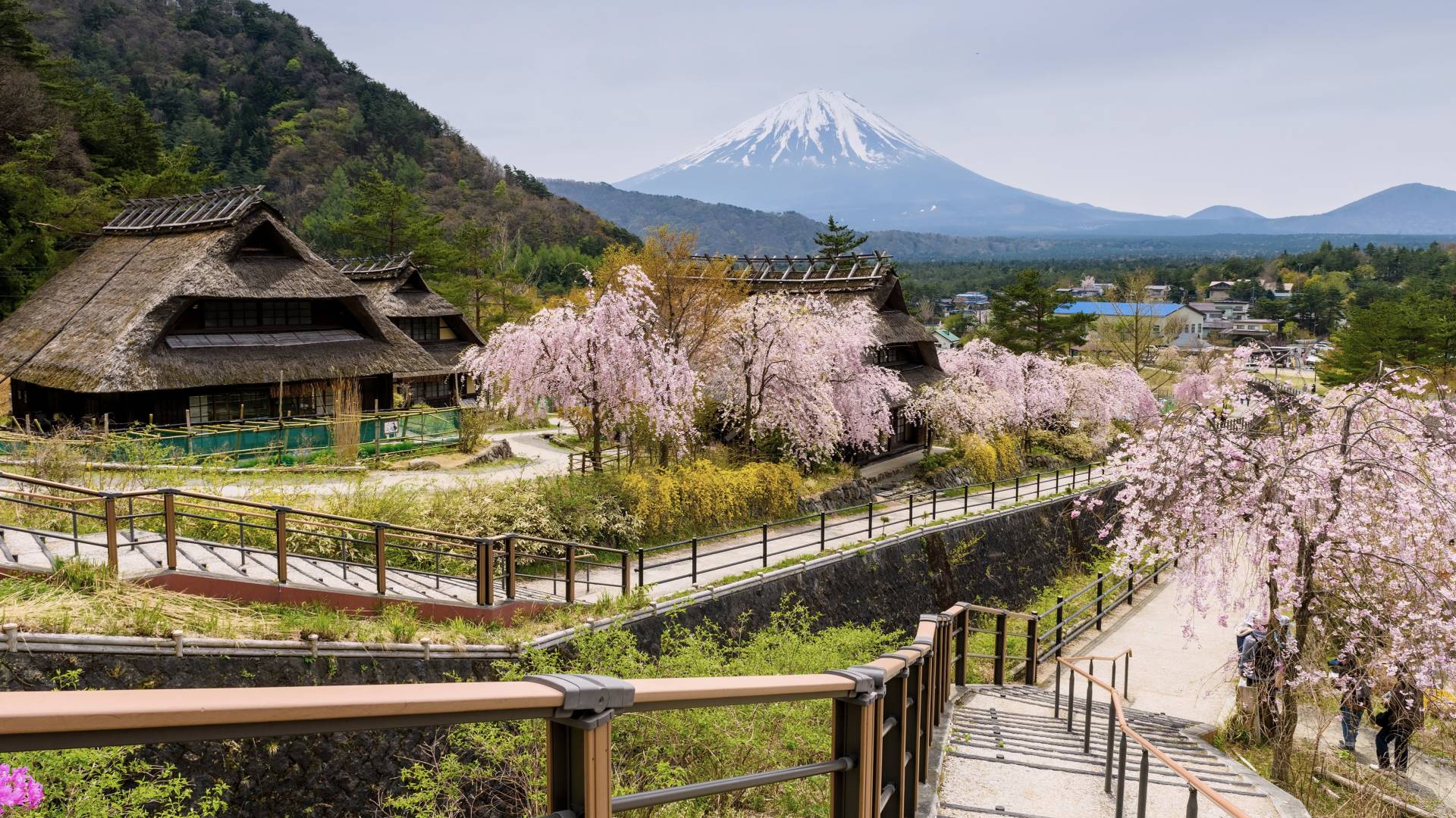Thatched house at Saiko Iyashi no Sato Nenba, Moutain Fuji, Yamanashi, Japan