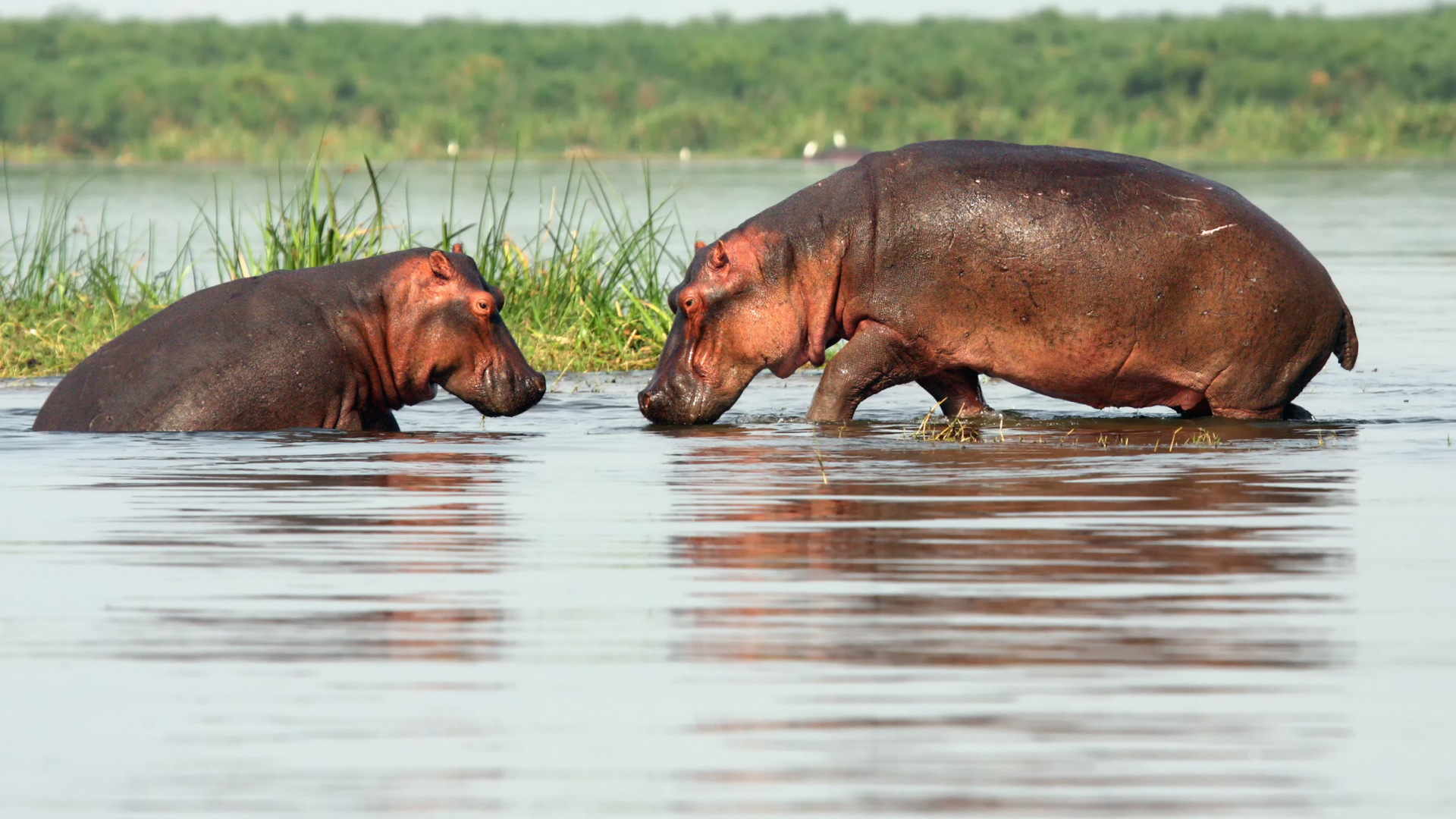 Höhepunkte des südlichen Afrika & Urlaub auf den Seychellen