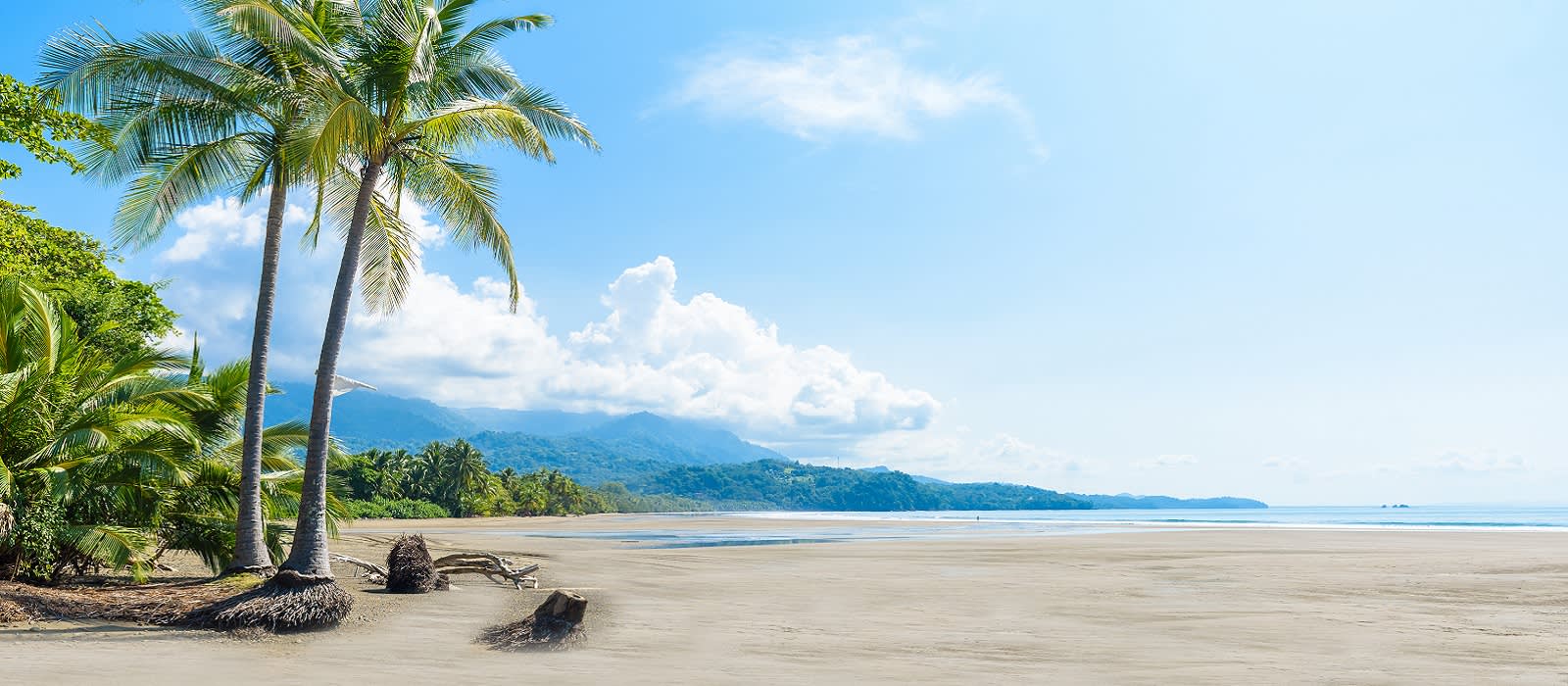 Enchanting Travels Costa Rica Tours Marino Ballena National Park in Uvita - Punta Uvita