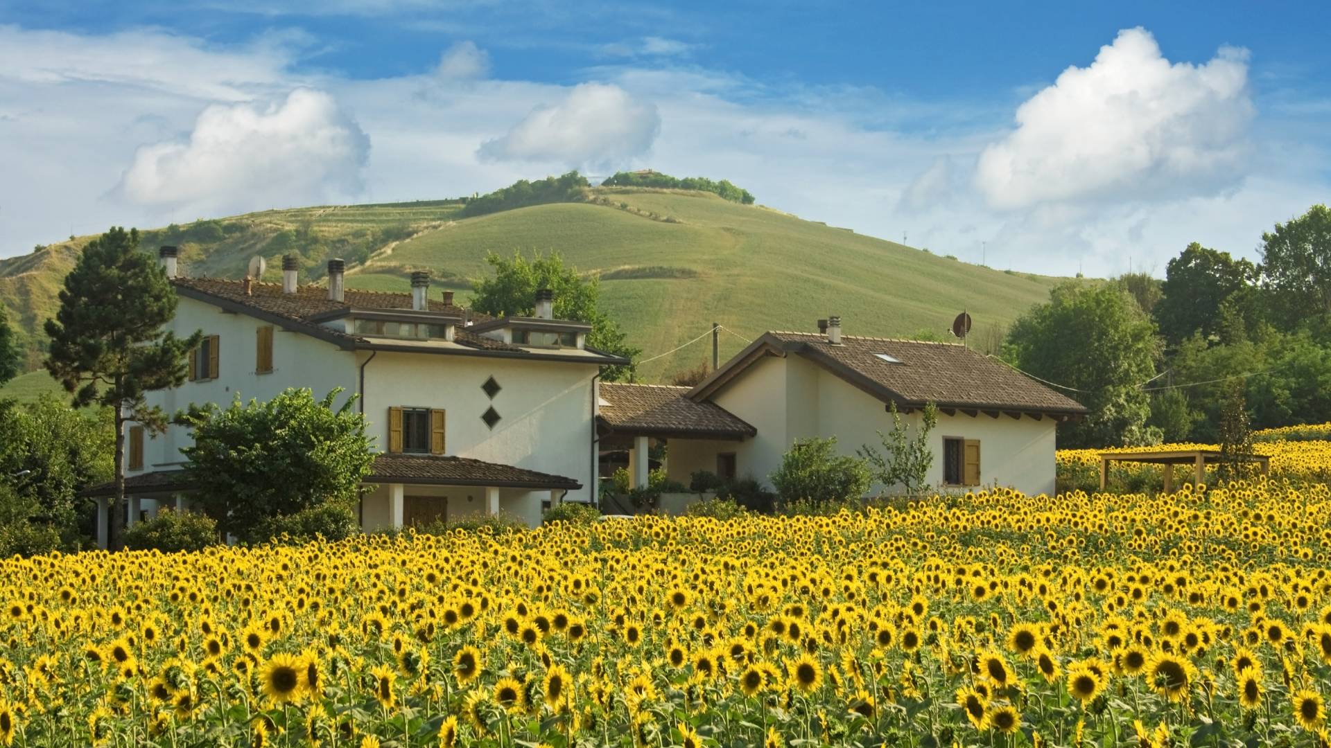 Emilia Romagna Italy