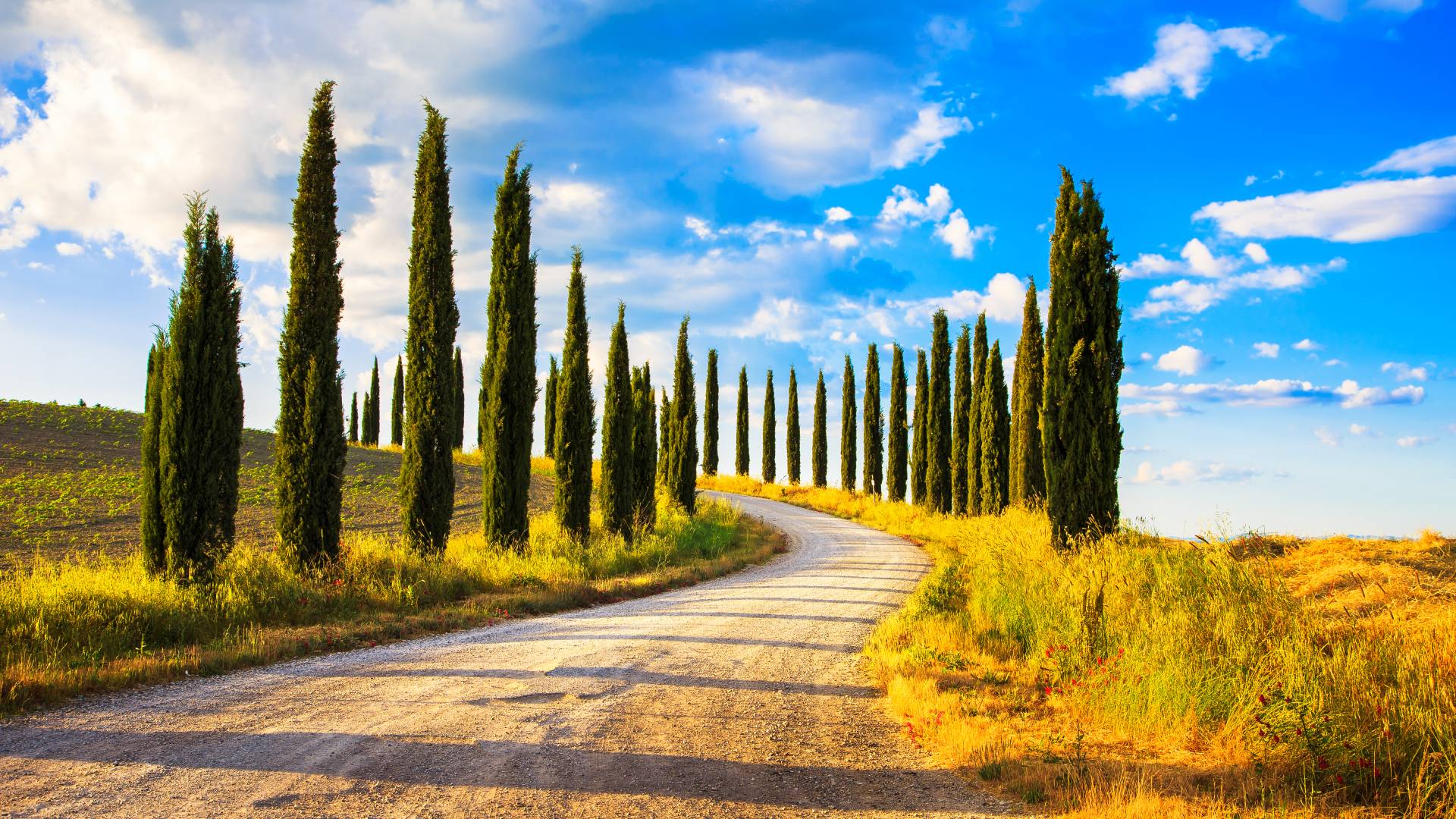 Italy travel guide - Tuscany