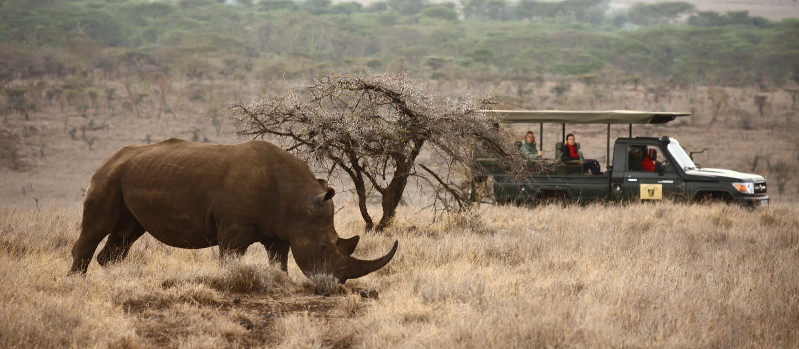 Top 10 Things To Do in Kenya - wildlife safari in Lewa