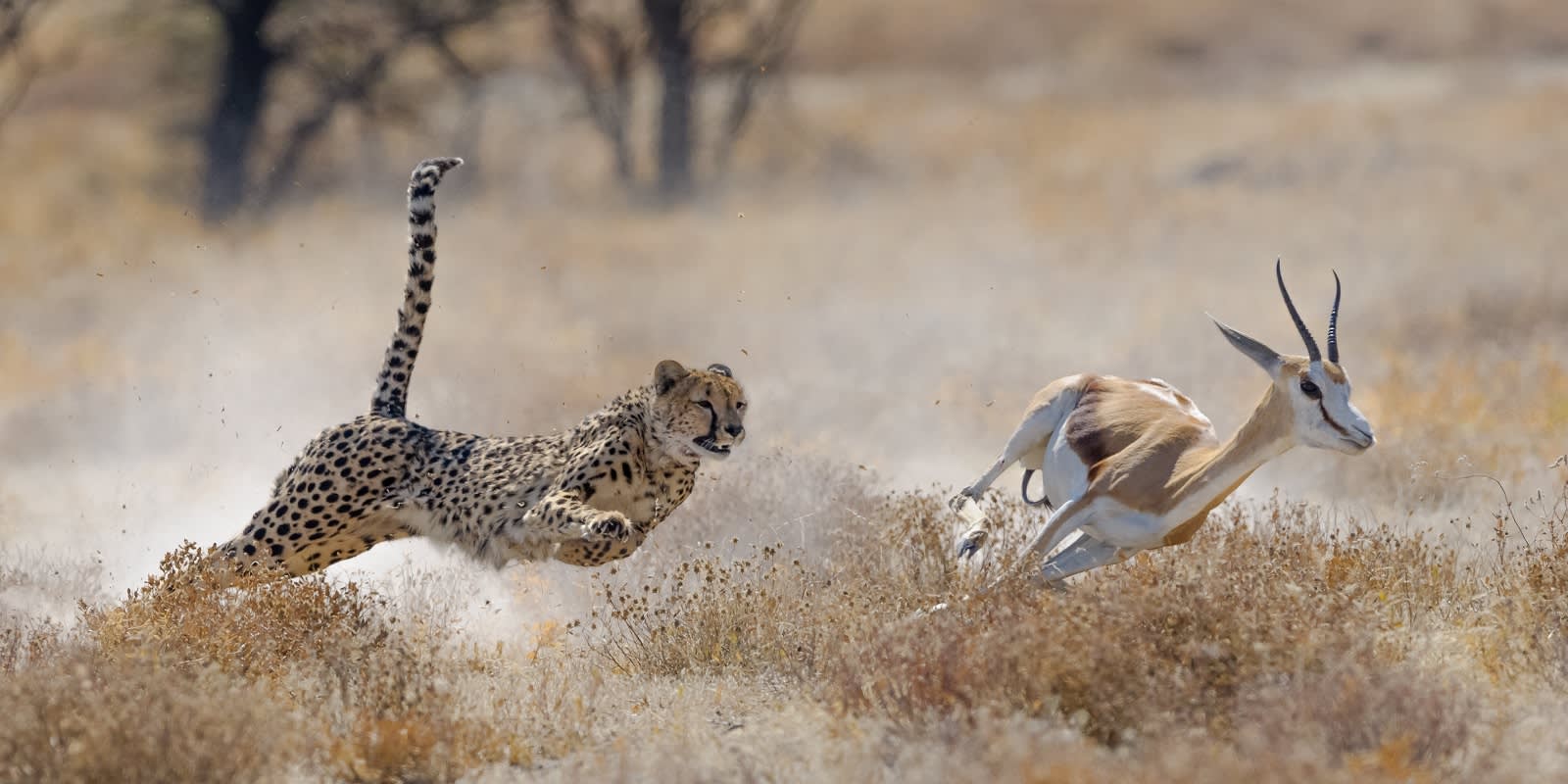 Namibia einmal anders: Flugreise jenseits gewohnter Pfade