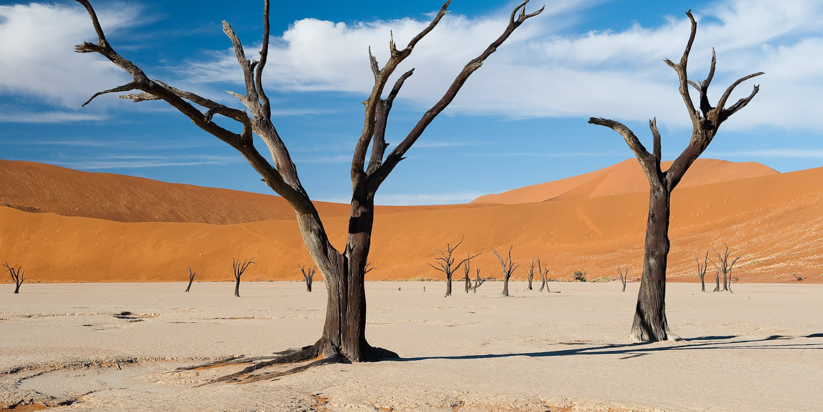 Desert landscape in Sossusvlei, Namibia