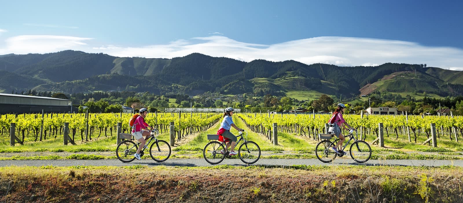 Enchanting Travels New Zealand Tours Nelson