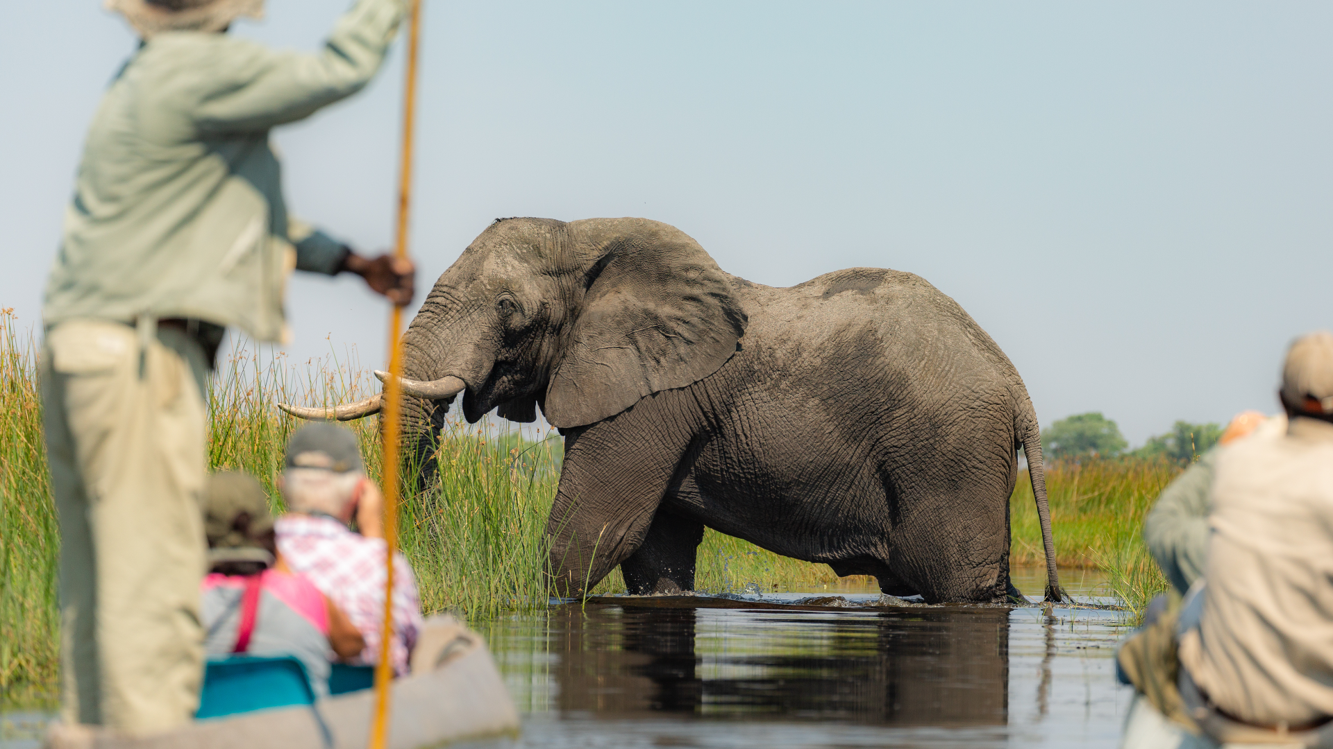 Botswana Safarireise: vom Okavango Delta in die Kalahari-Wüste