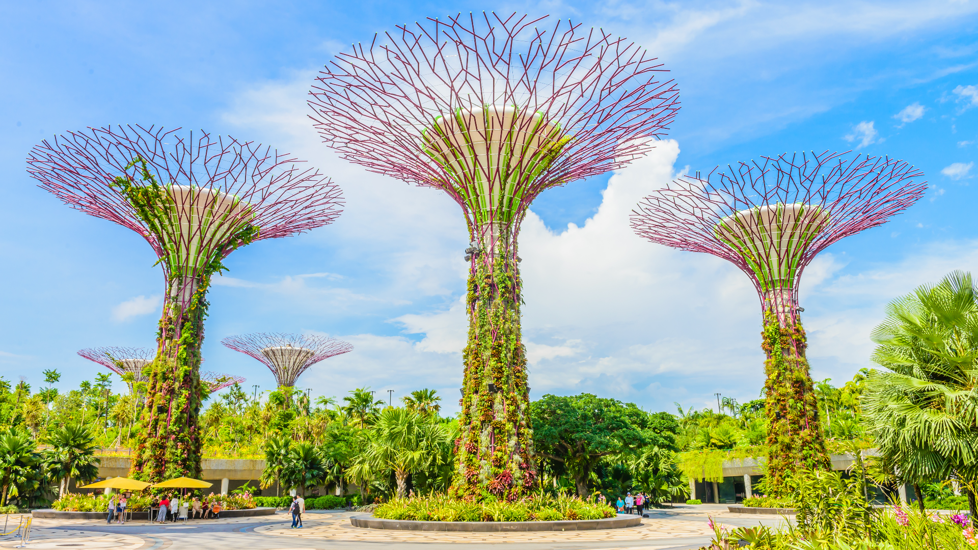 Singapur: Die Höhepunkte der Löwenstadt