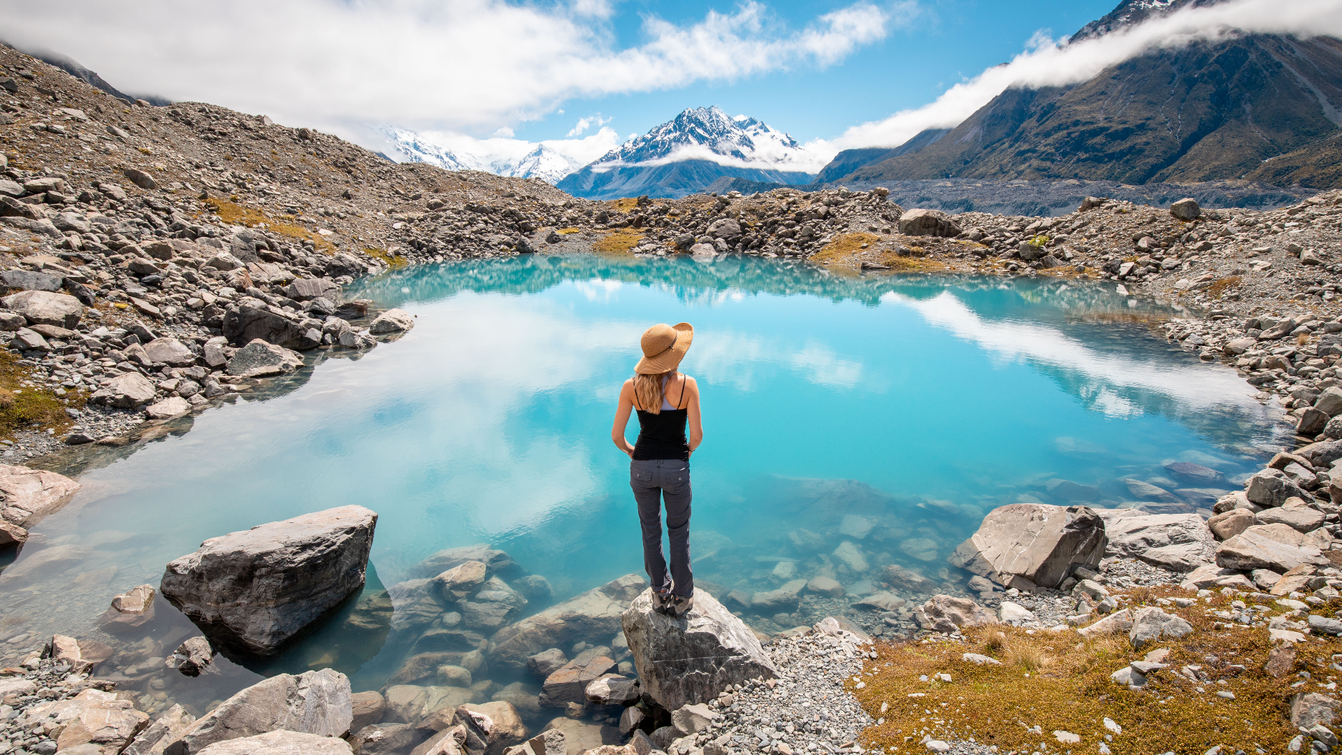 New Zealand: Highlights with a Twist