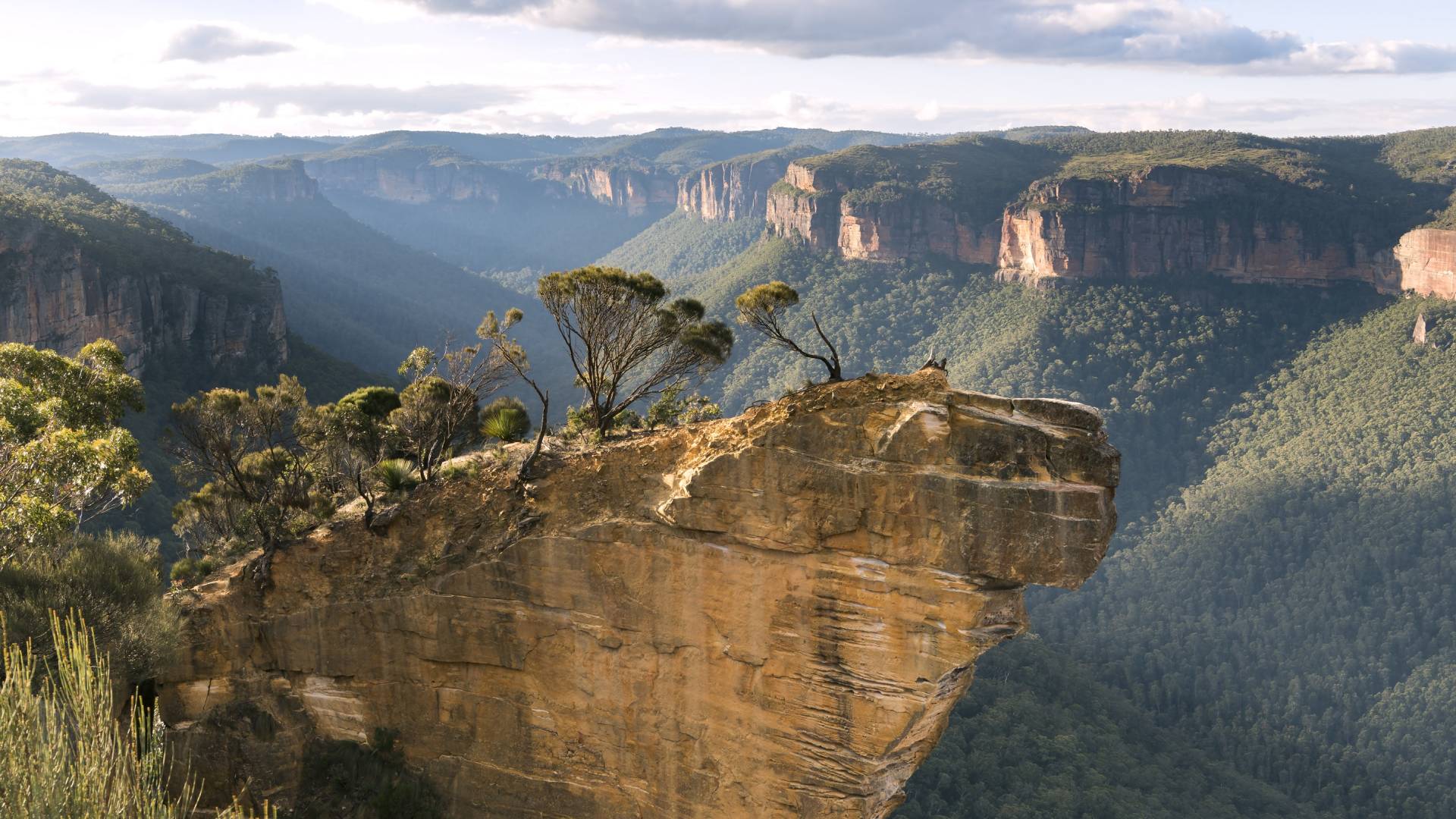Virtual Tour of Australia and New Zealand with Matt