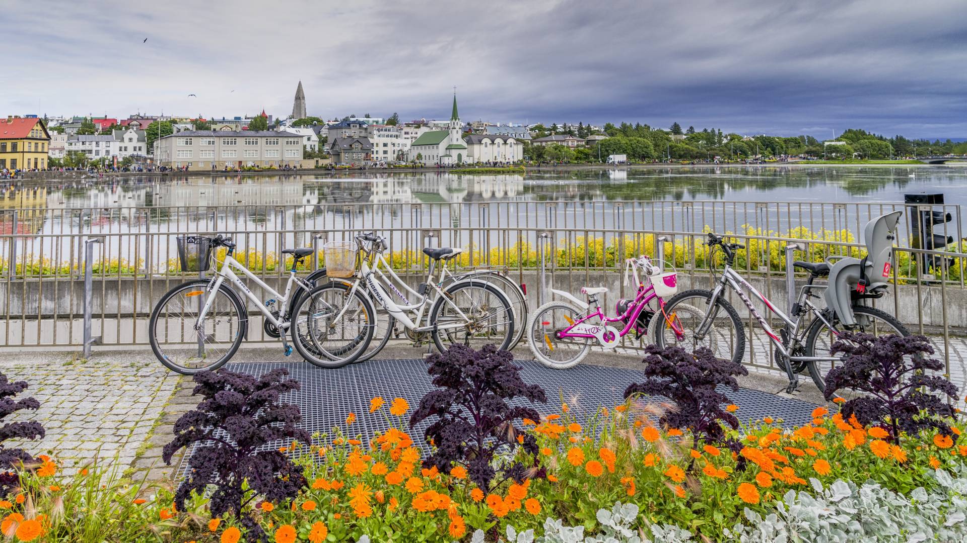 Island: Kurztrip nach Reykjavik