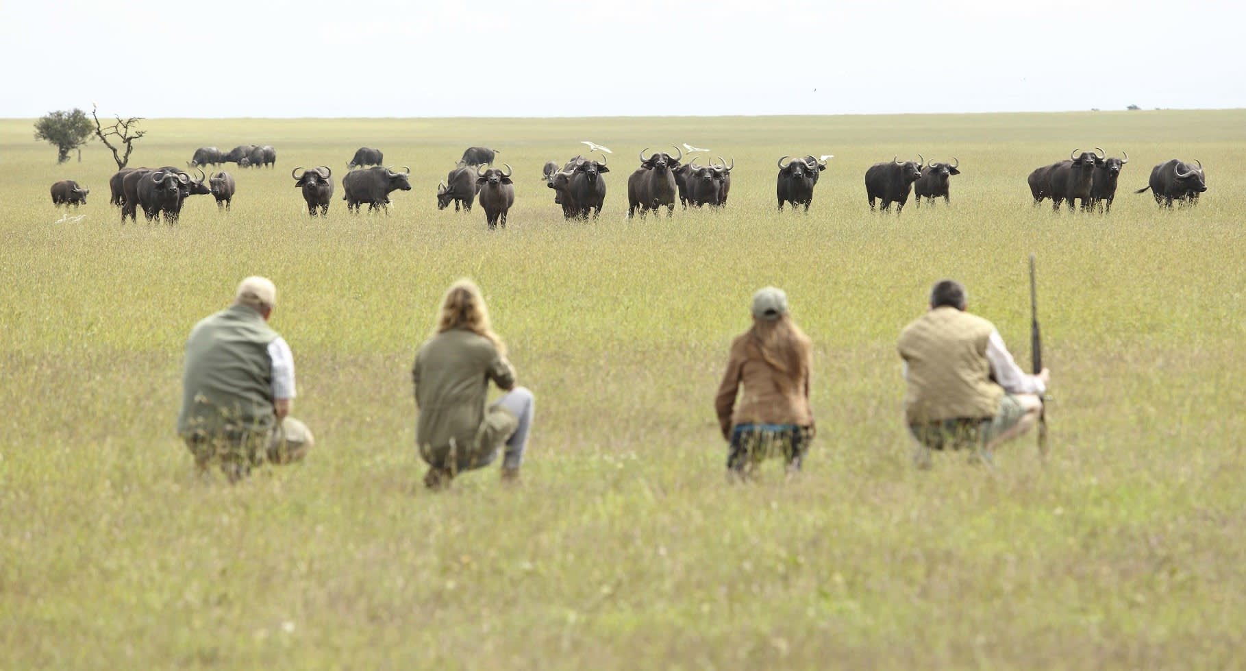 safari trips - Walking Safari Animals