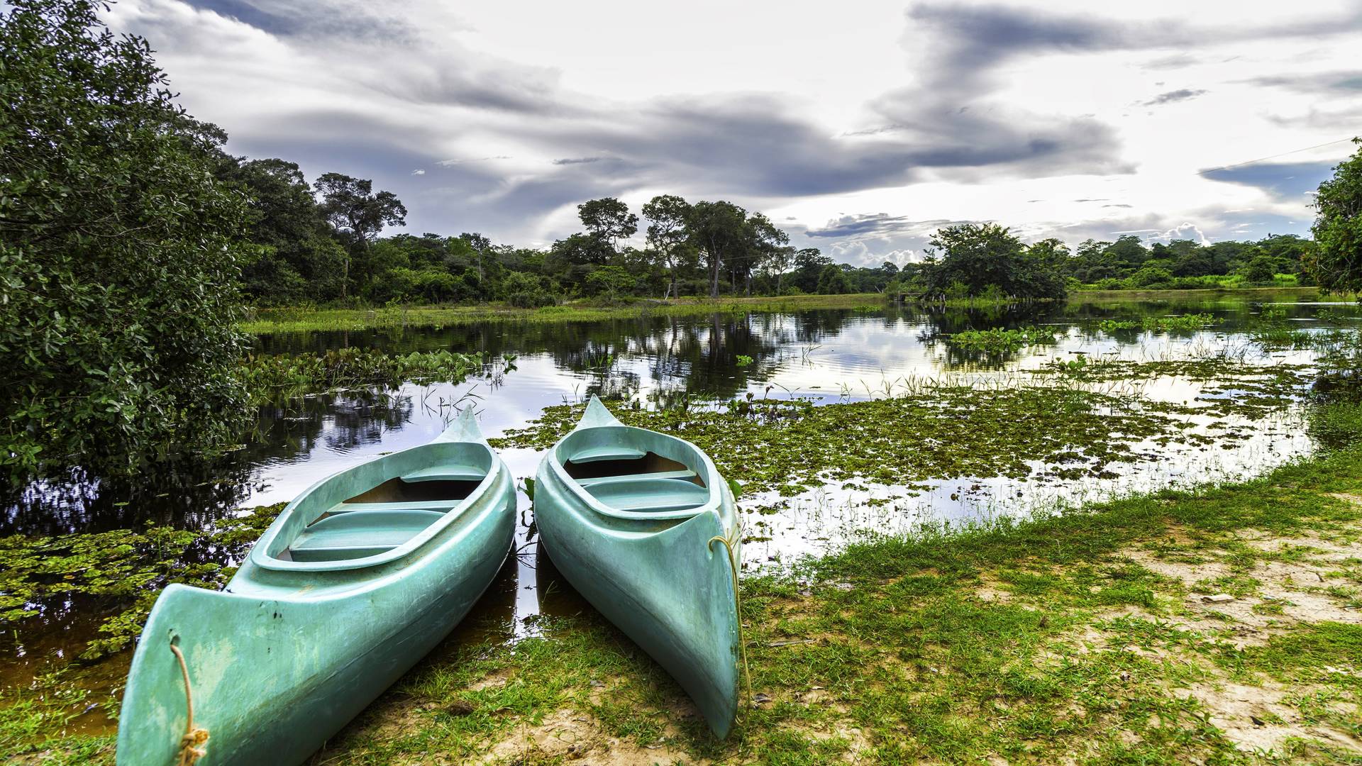 Things to do in Brazil