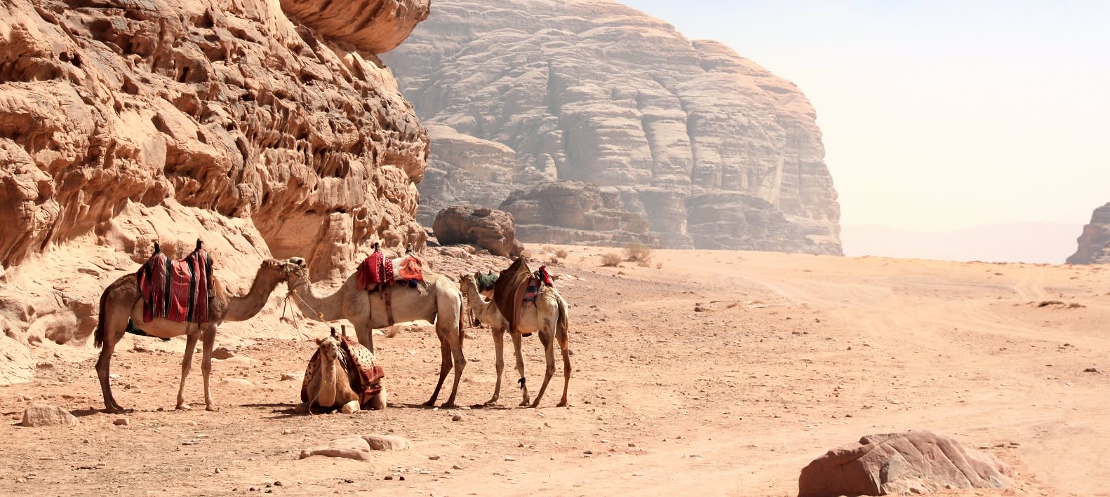 Jordan tour