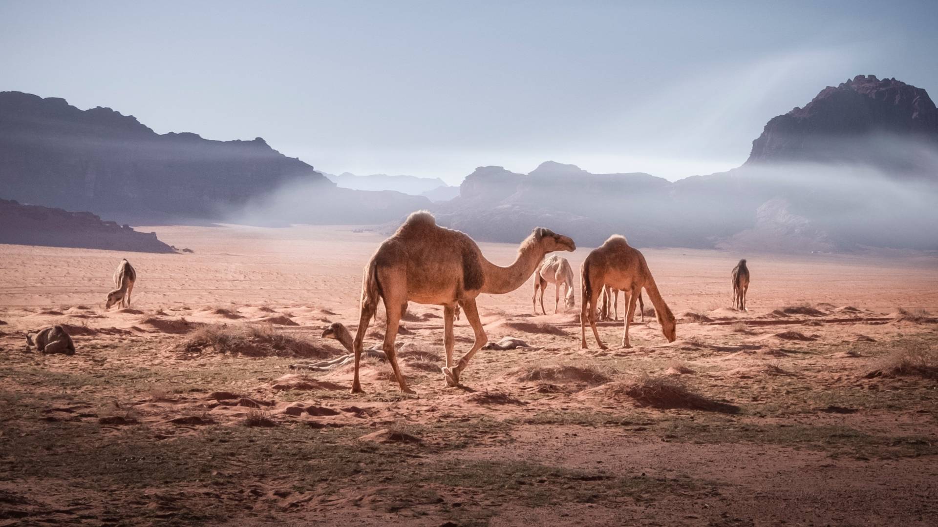 Best time to visit Jordan