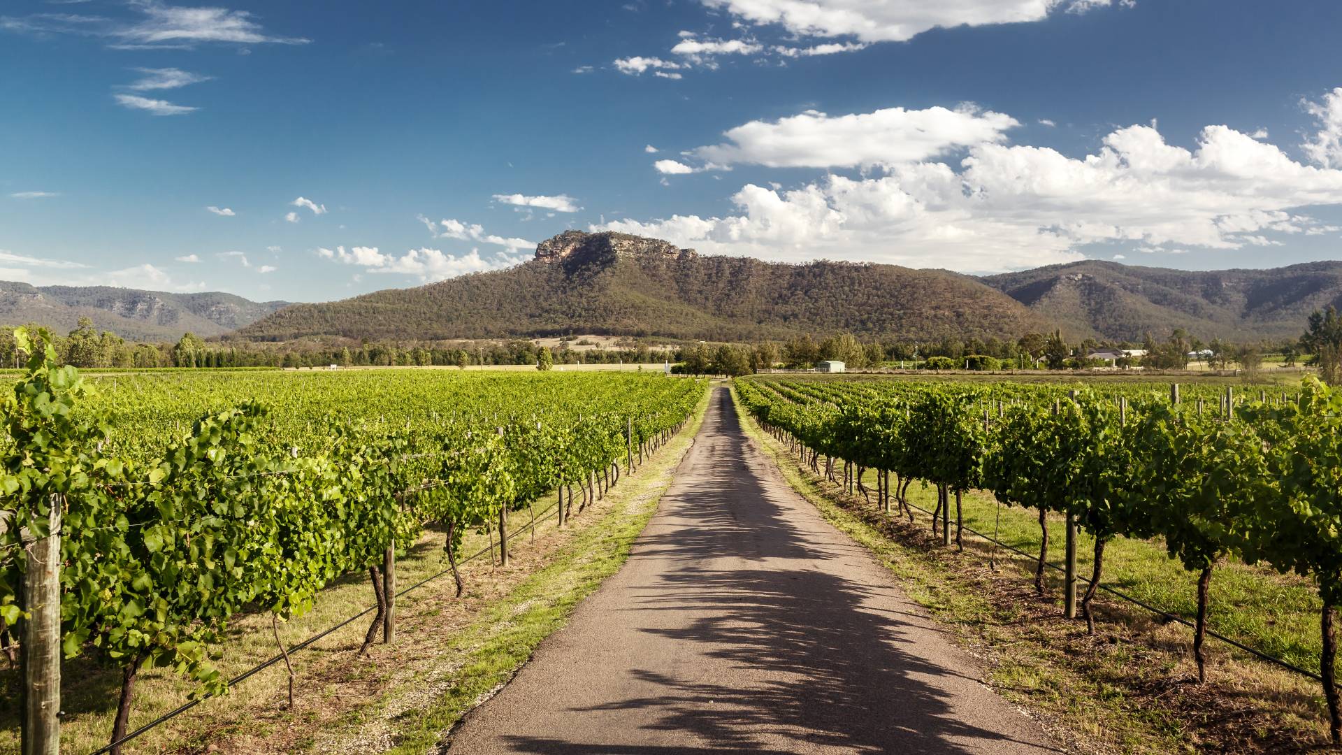 Australian Explorer: Sydney, Ayers Rock and Port Douglas