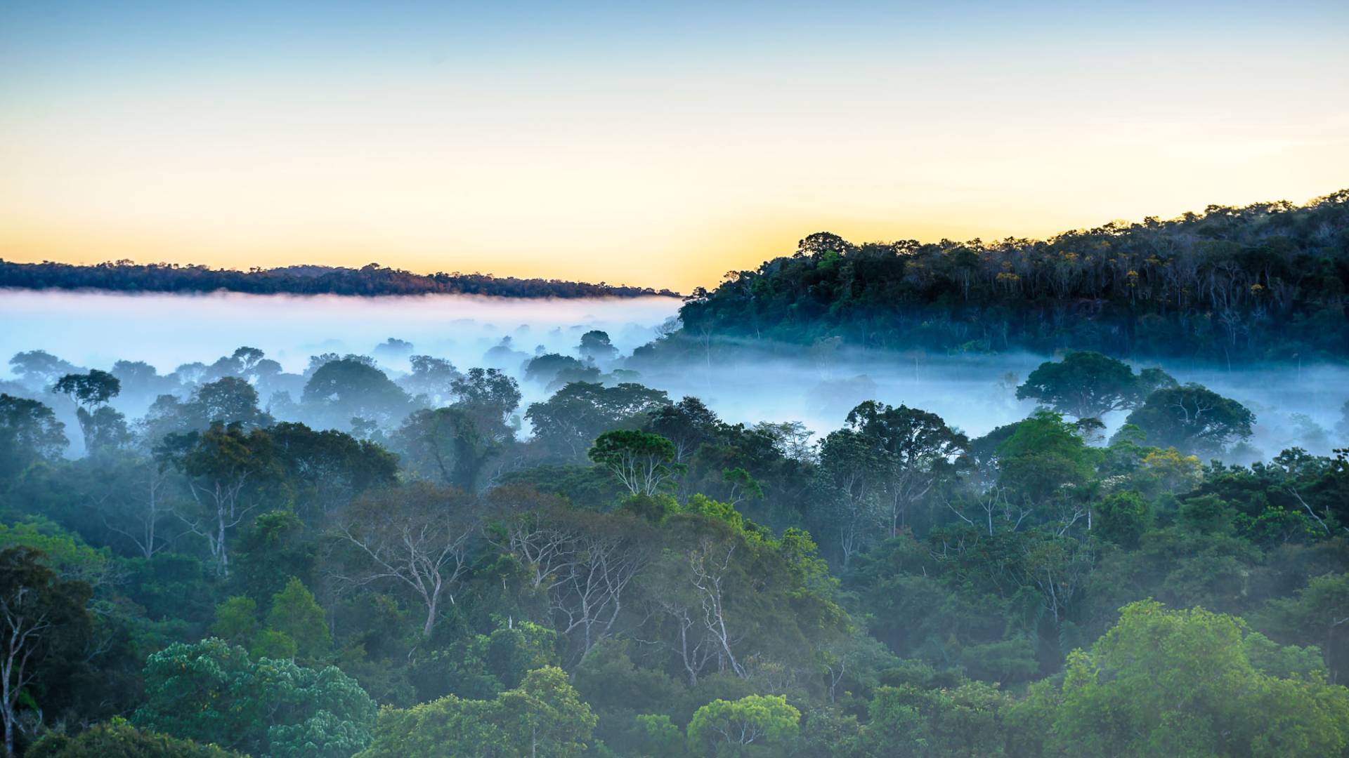 Brasilien: Naturwunder, Kultur & Großstadtflair