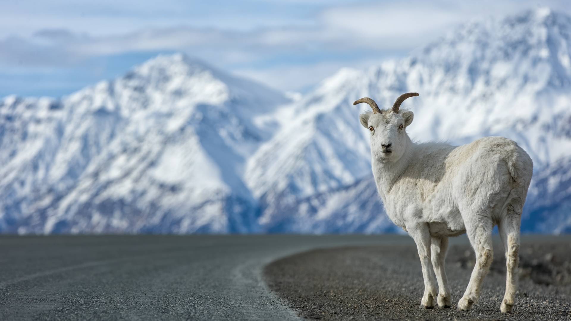 Roadtrip: Die Highlights von Alaska & Yukon