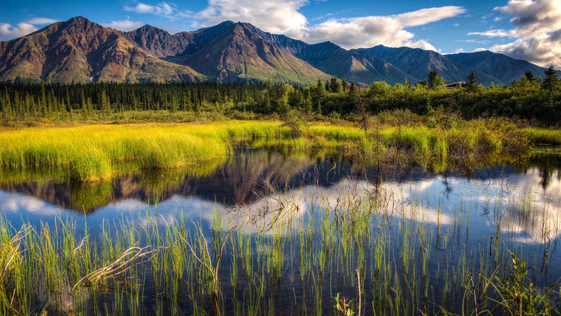 Road Trip: Alaska & Yukon Highlights