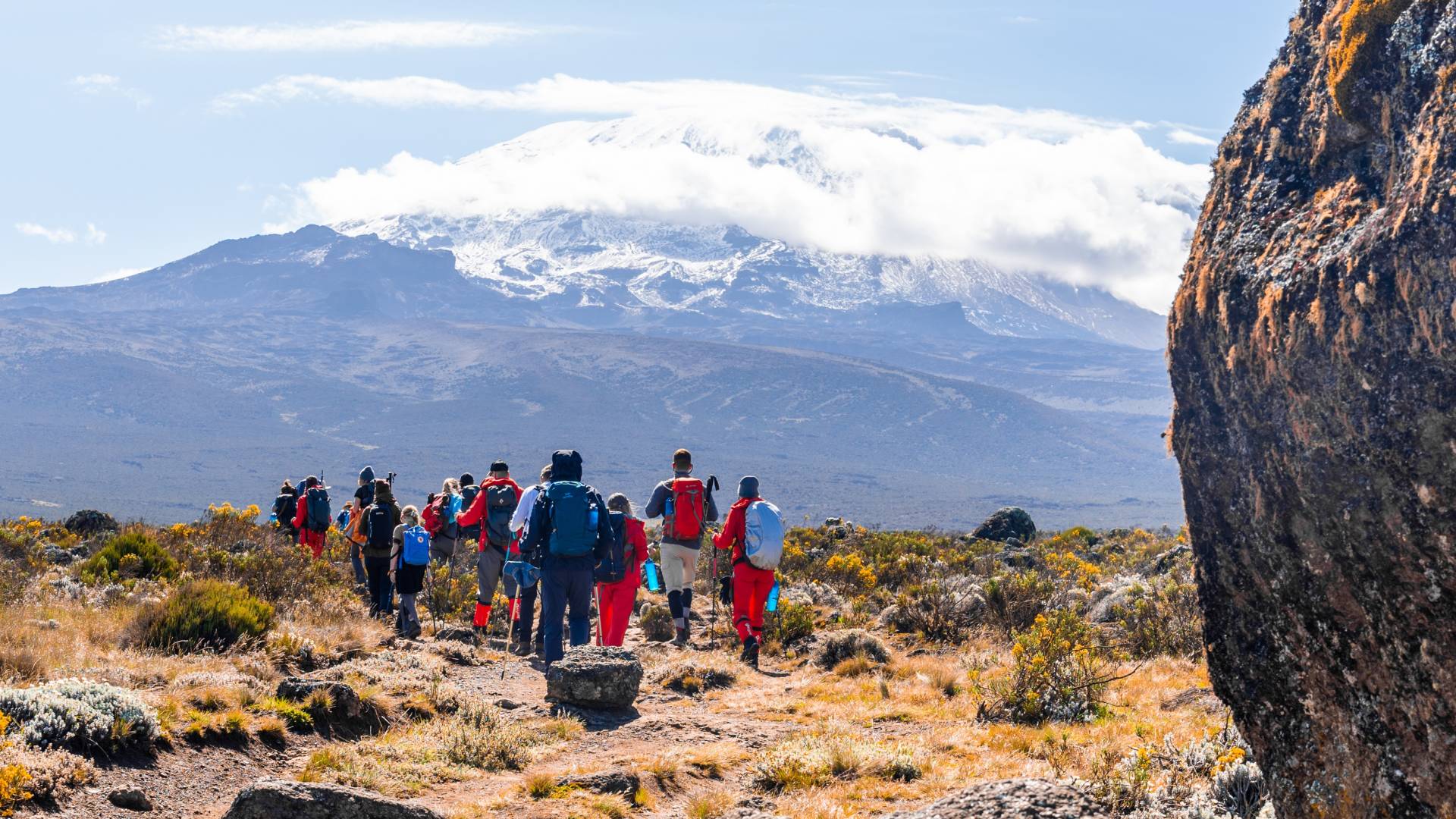 Tansania: Safaris, Kilimandscharo & Sansibar