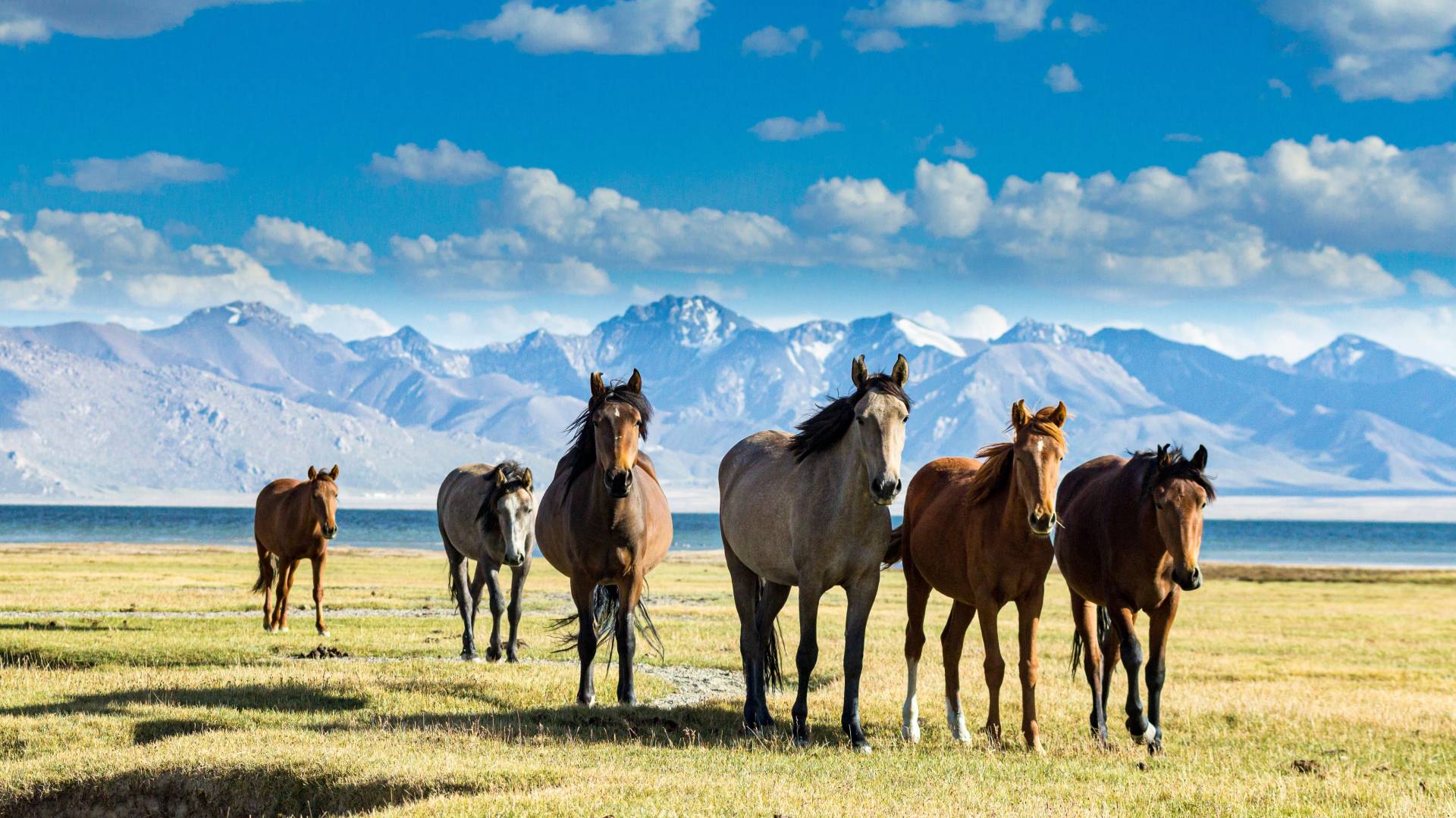 Central Asia Tour