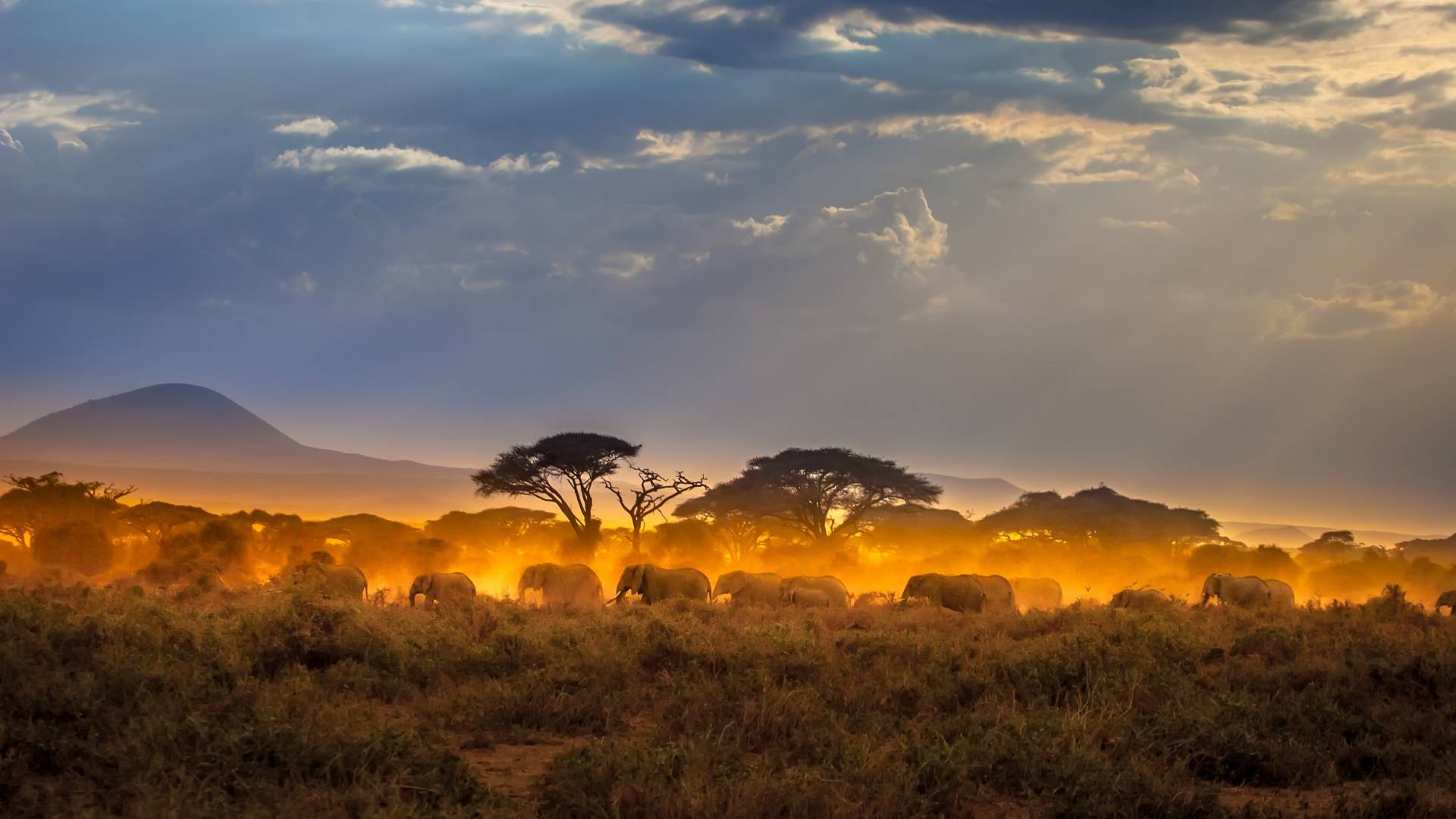 Kenia: Safaris im Süden & Strandauszeit