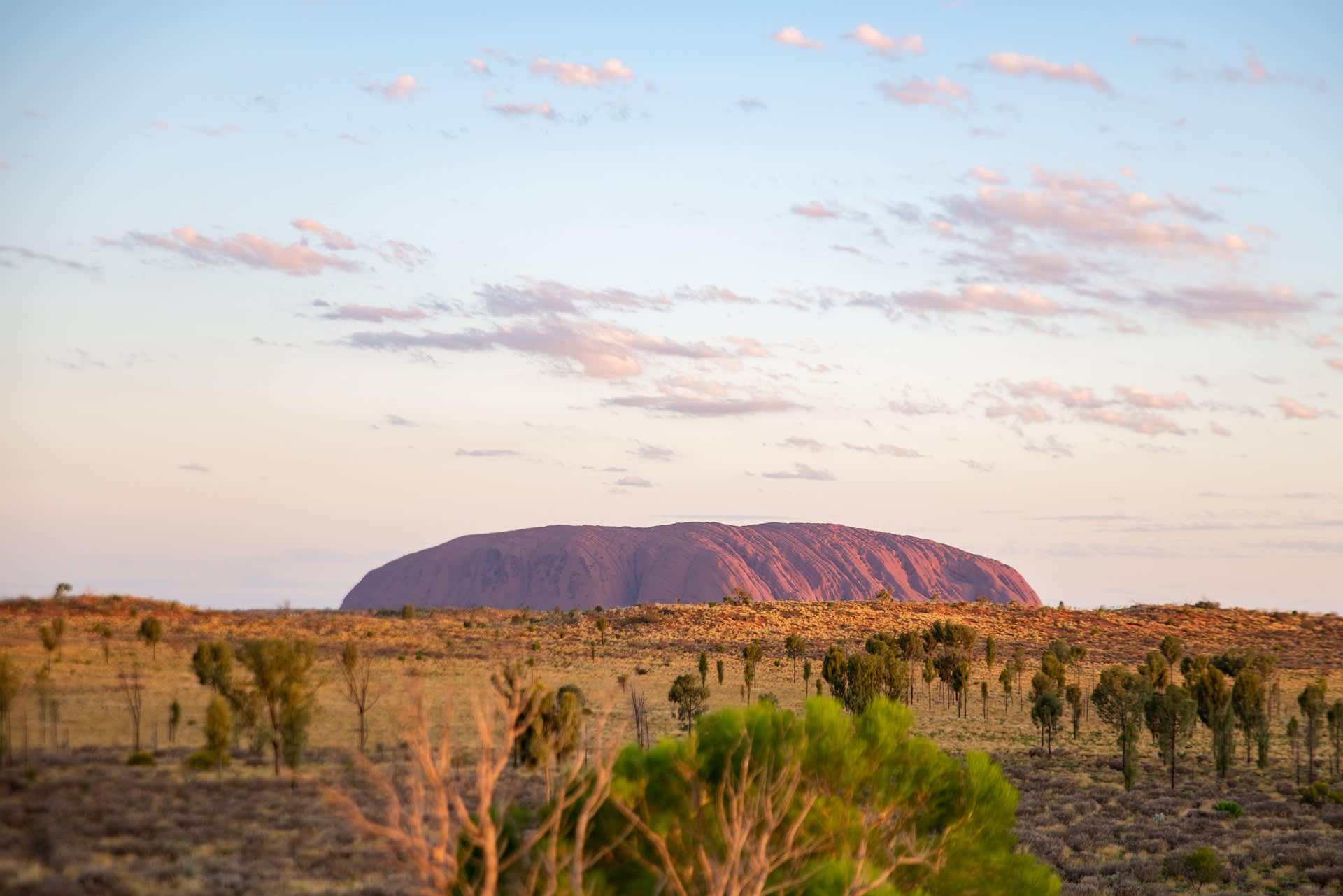 Uluru (Ayers Rock) in der australischen Wüste bei Sonnenuntergang, umgeben von karger Vegetation unter leicht bewölktem Himmel.